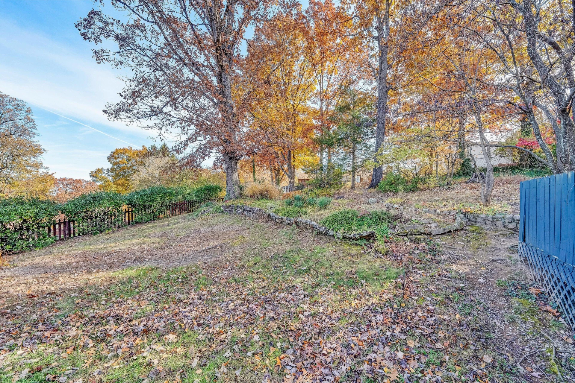 3536 Forester RD - Photo 21