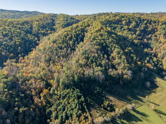 TBD Lick Ridge Road, Check, VA, 24072