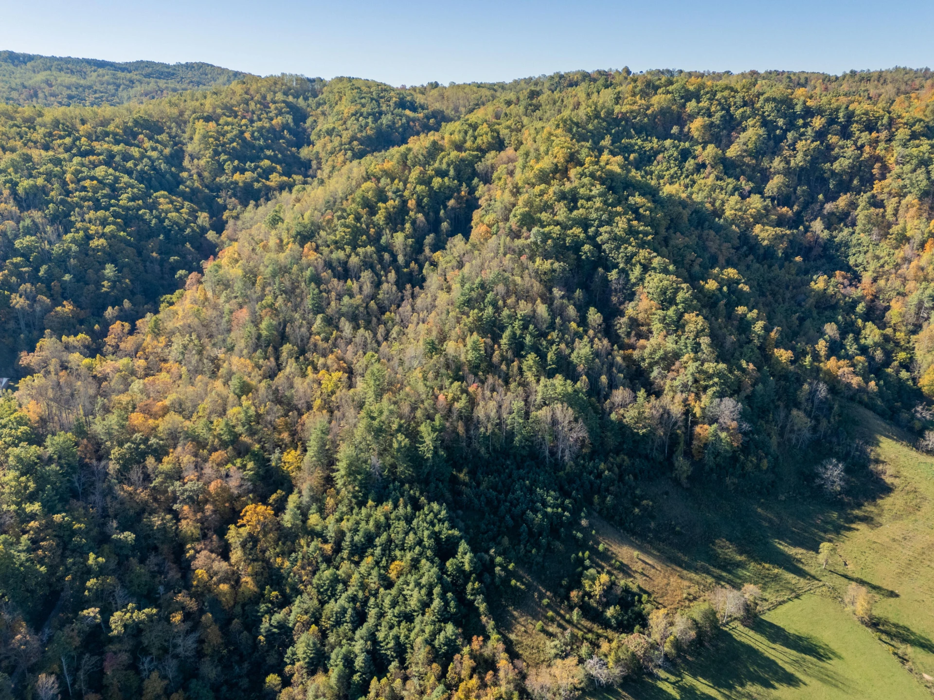 TBD Lick Ridge Road