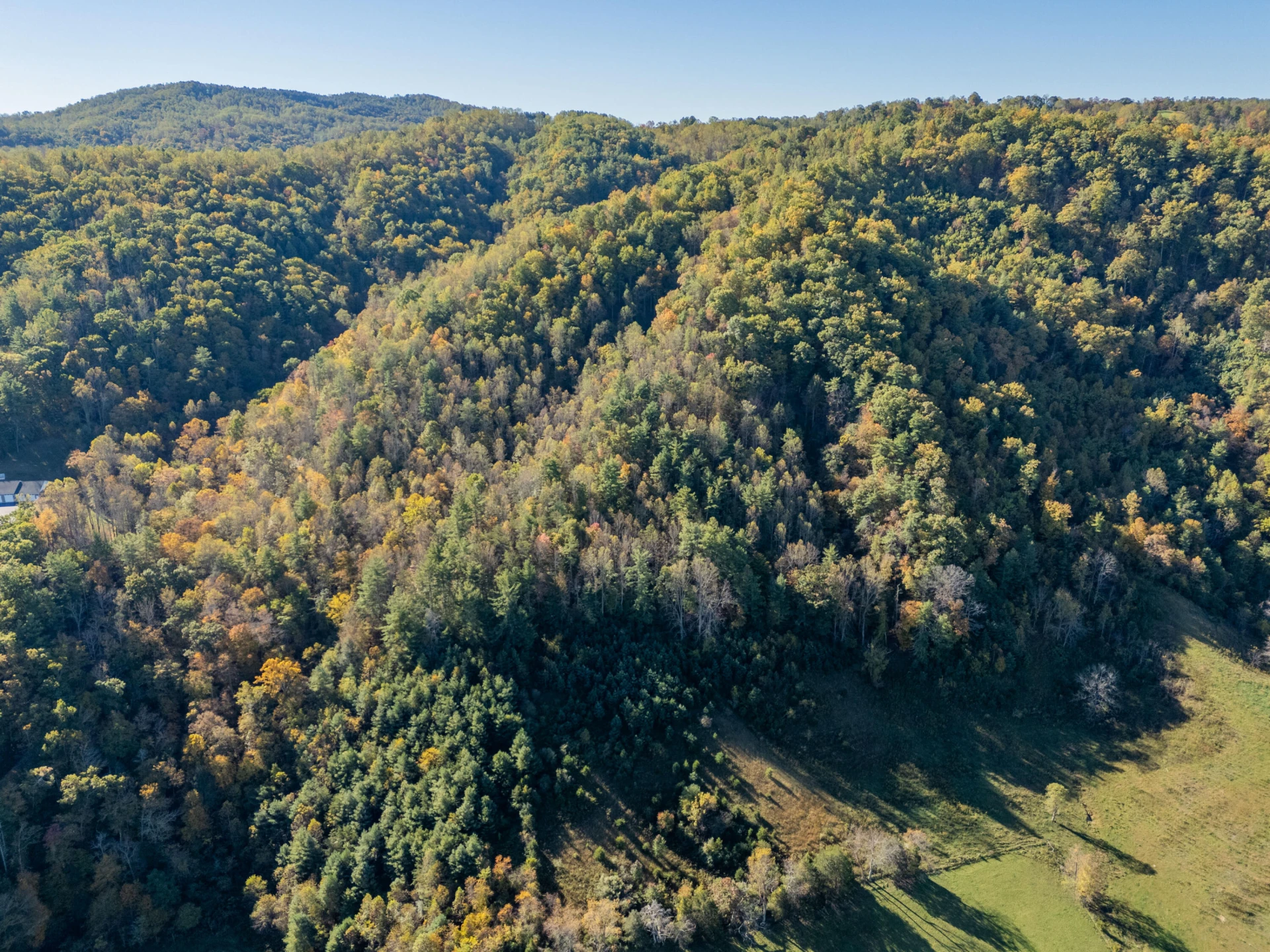 TBD Lick Ridge Road - Photo 10