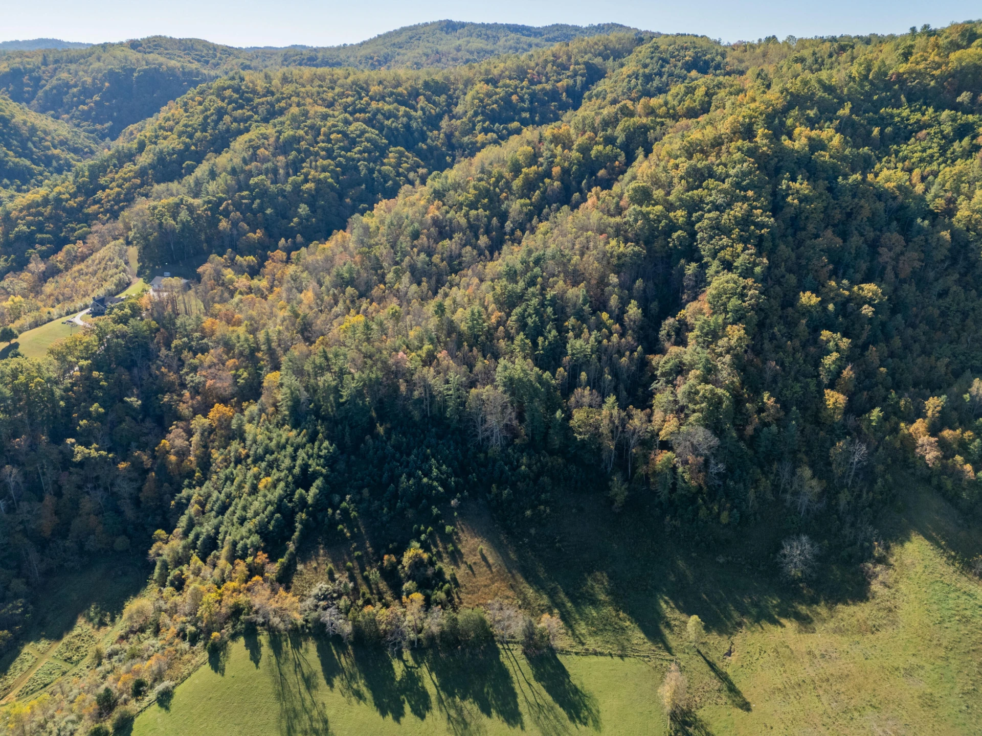 TBD Lick Ridge Road - Photo 11
