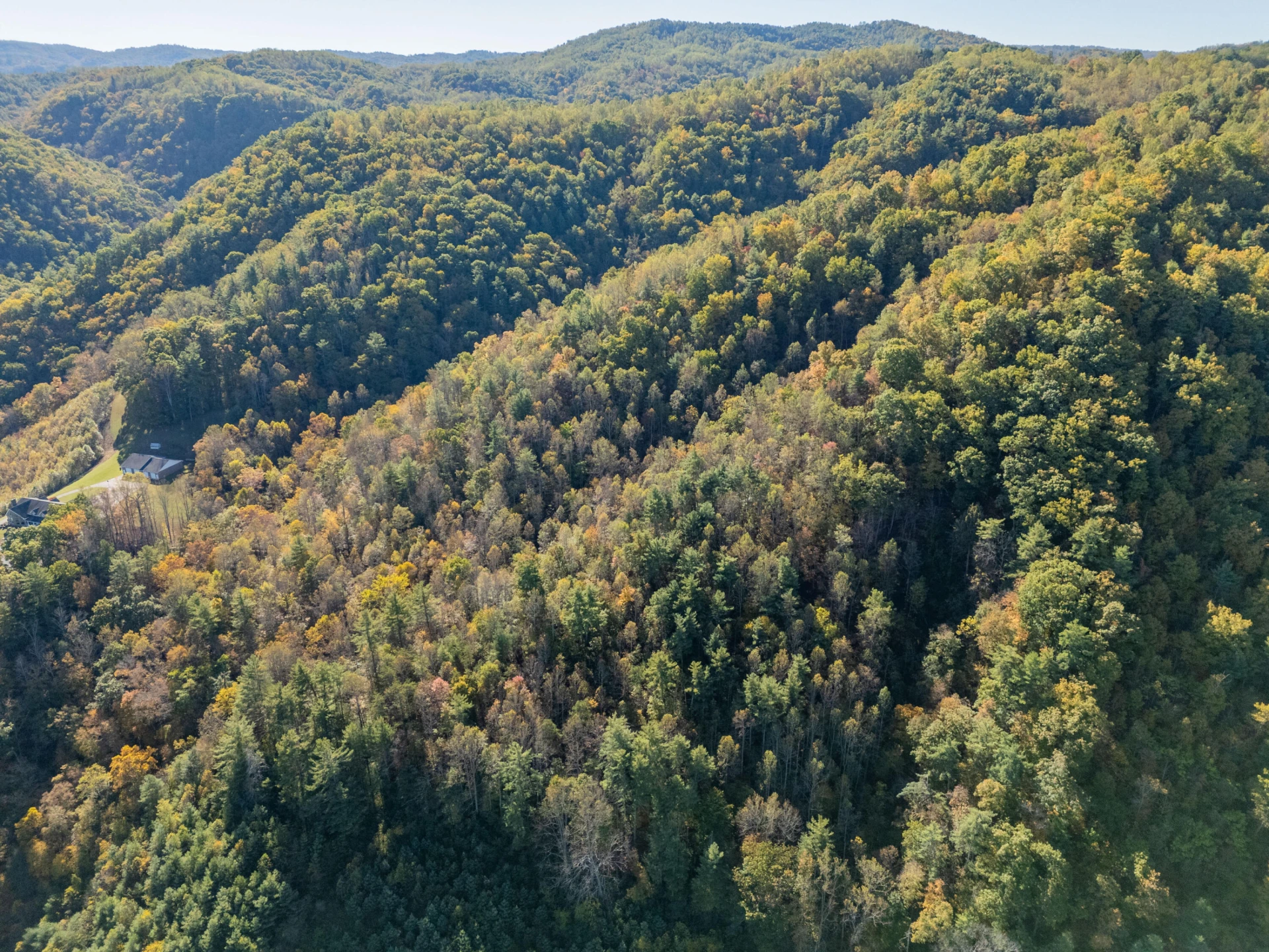 TBD Lick Ridge Road - Photo 12