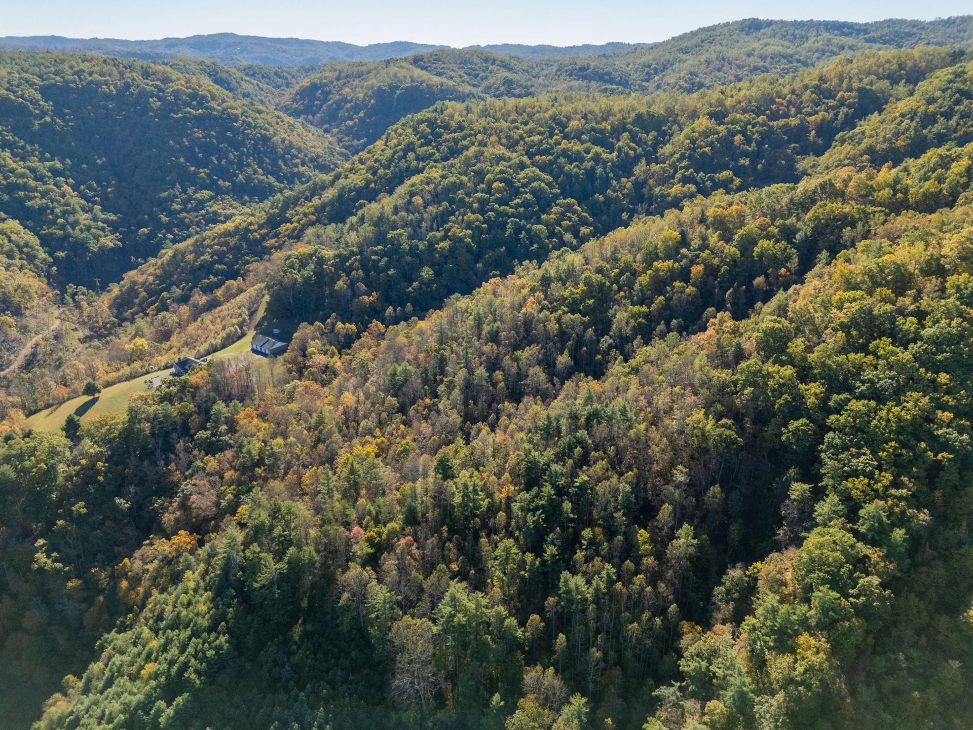 TBD Lick Ridge Road - Photo 13