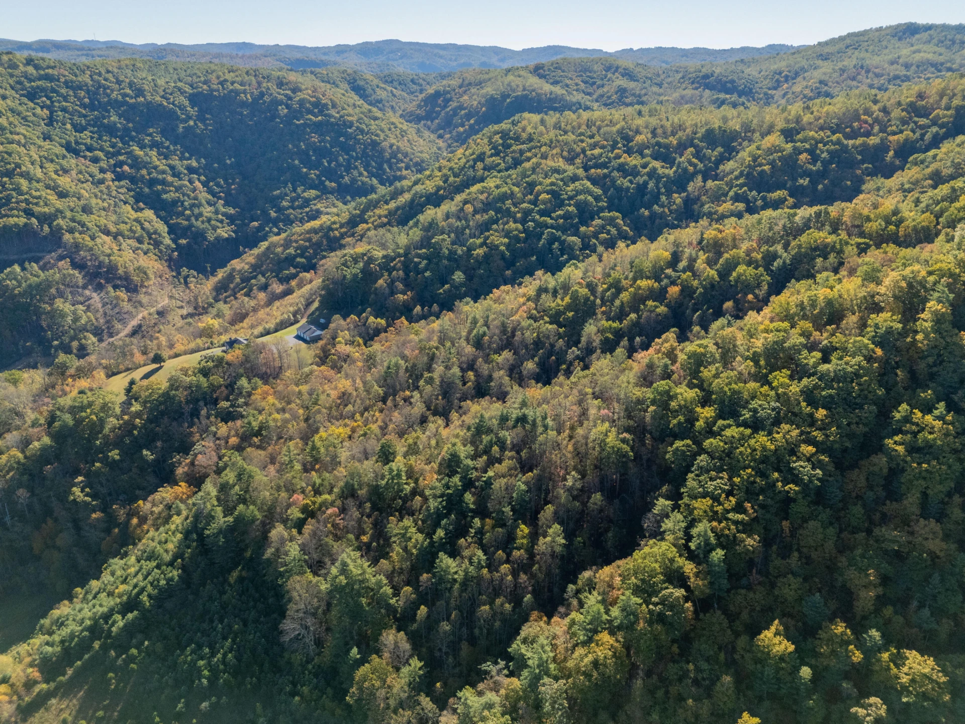 TBD Lick Ridge Road - Photo 14