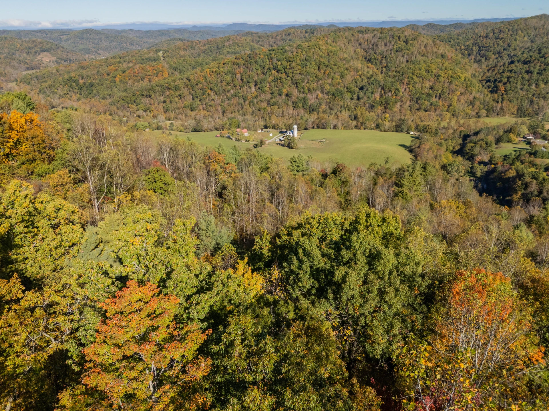 TBD Lick Ridge Road - Photo 19
