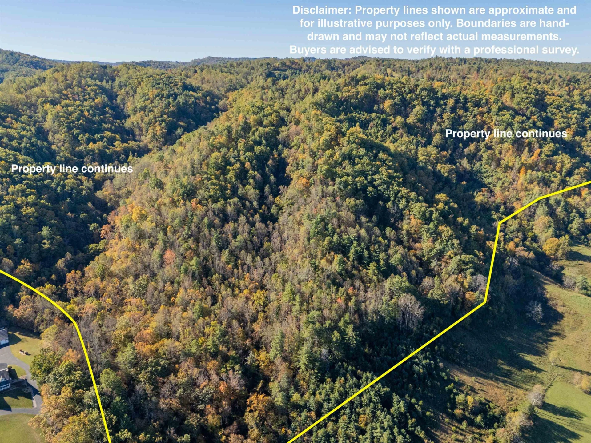 TBD Lick Ridge Road - Photo 2