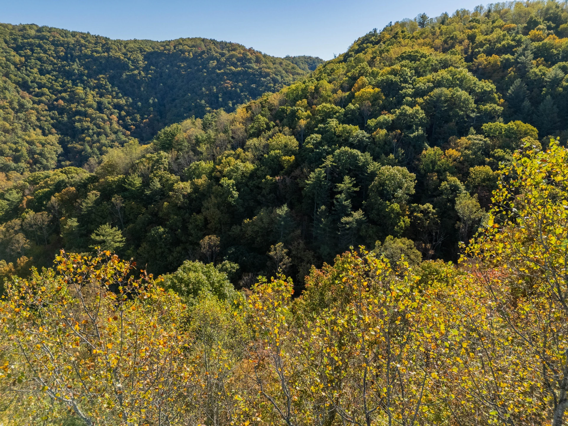 TBD Lick Ridge Road - Photo 20