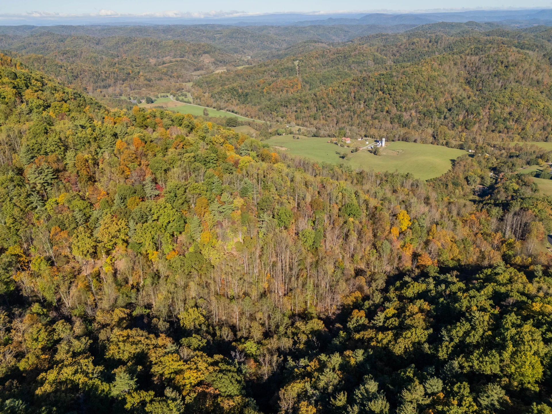 TBD Lick Ridge Road - Photo 22
