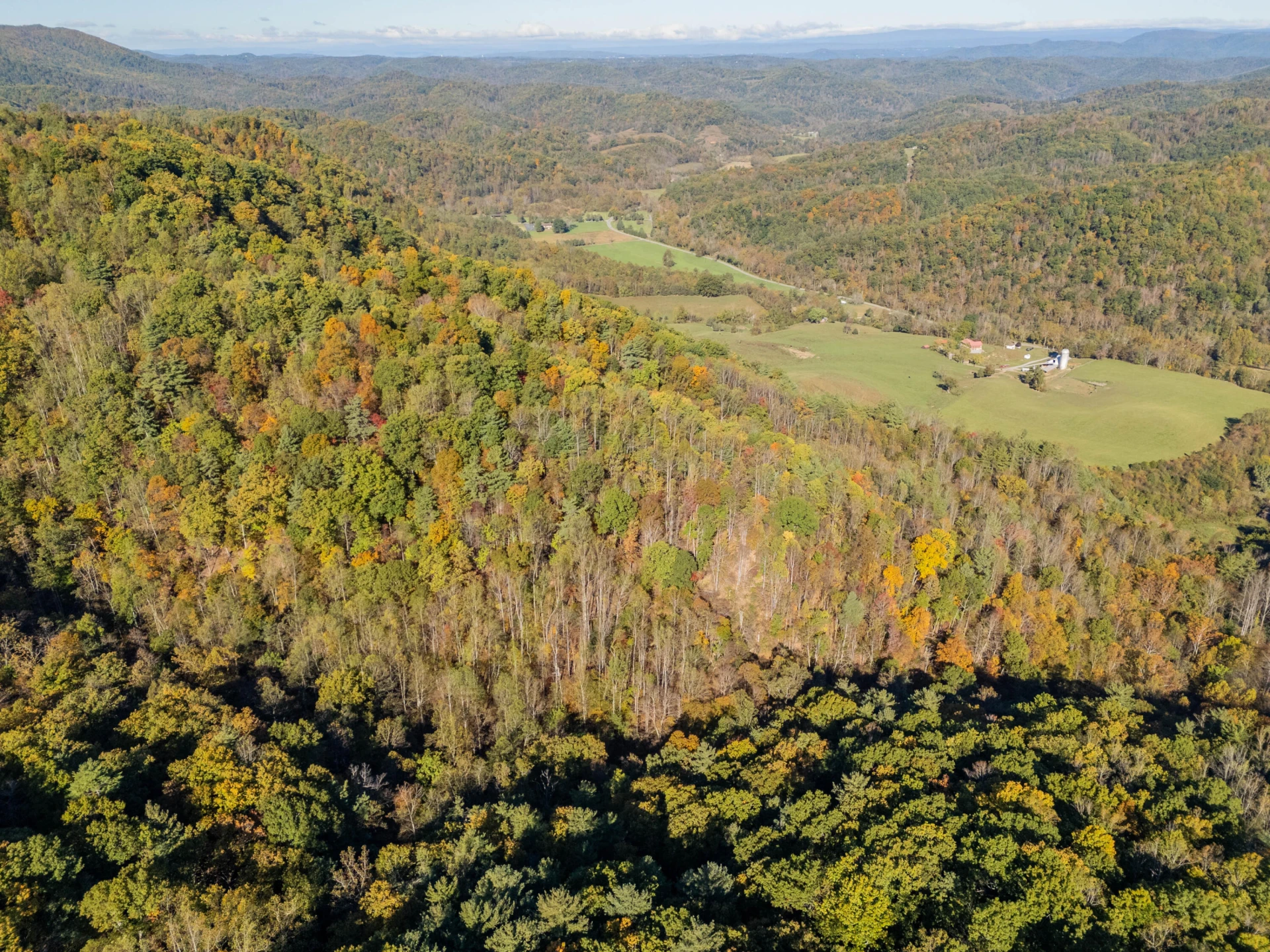 TBD Lick Ridge Road - Photo 23