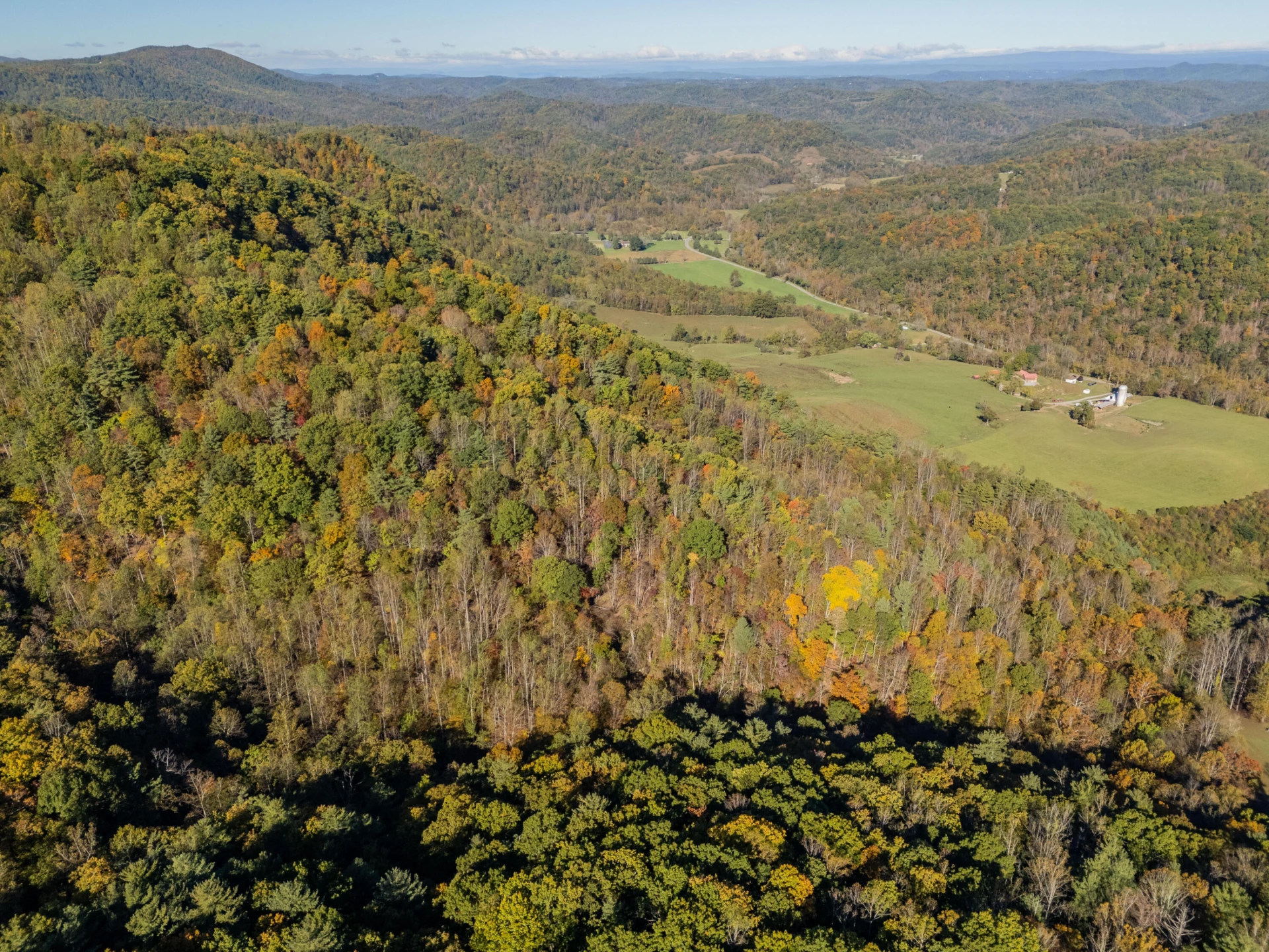 TBD Lick Ridge Road - Photo 24