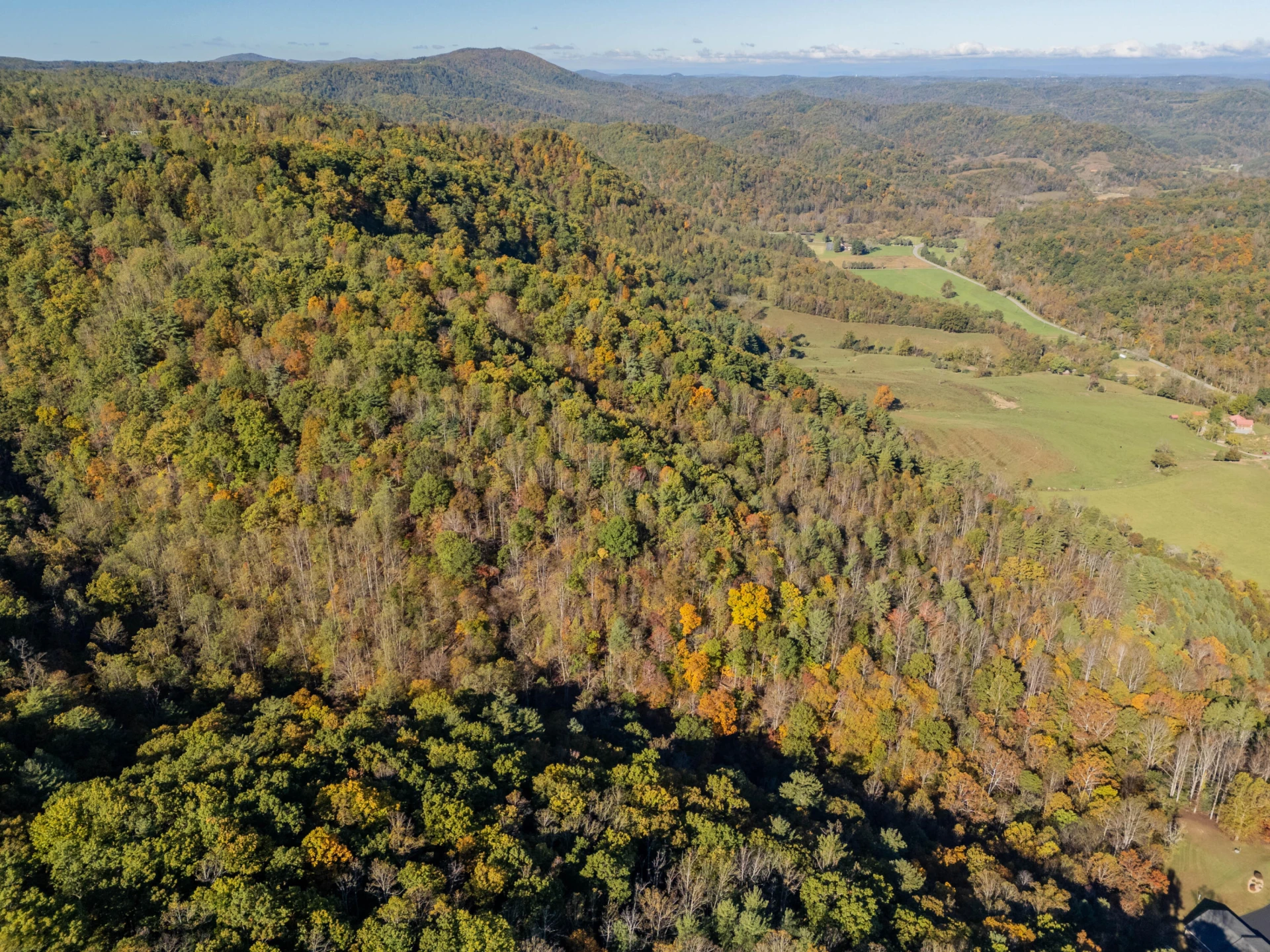 TBD Lick Ridge Road - Photo 25