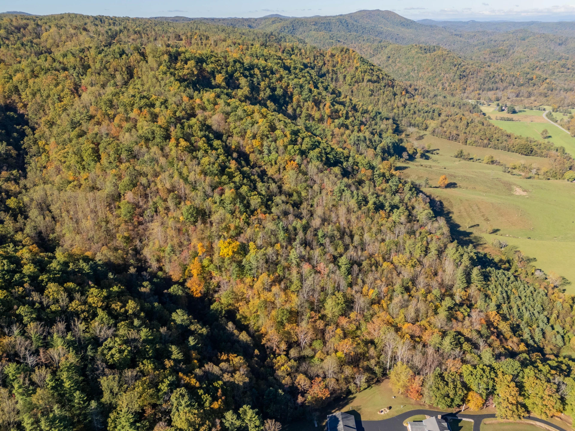 TBD Lick Ridge Road - Photo 26