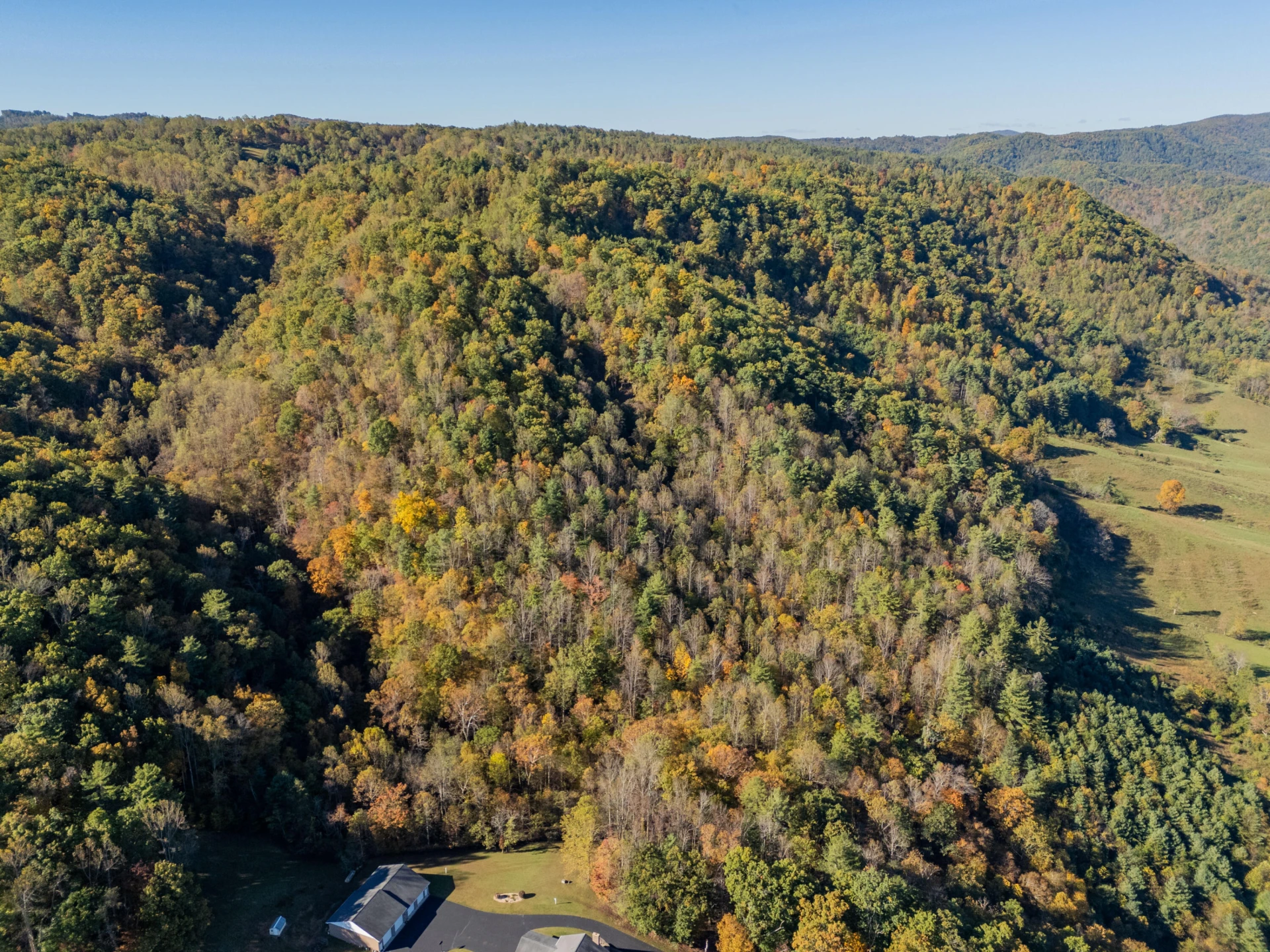 TBD Lick Ridge Road - Photo 28