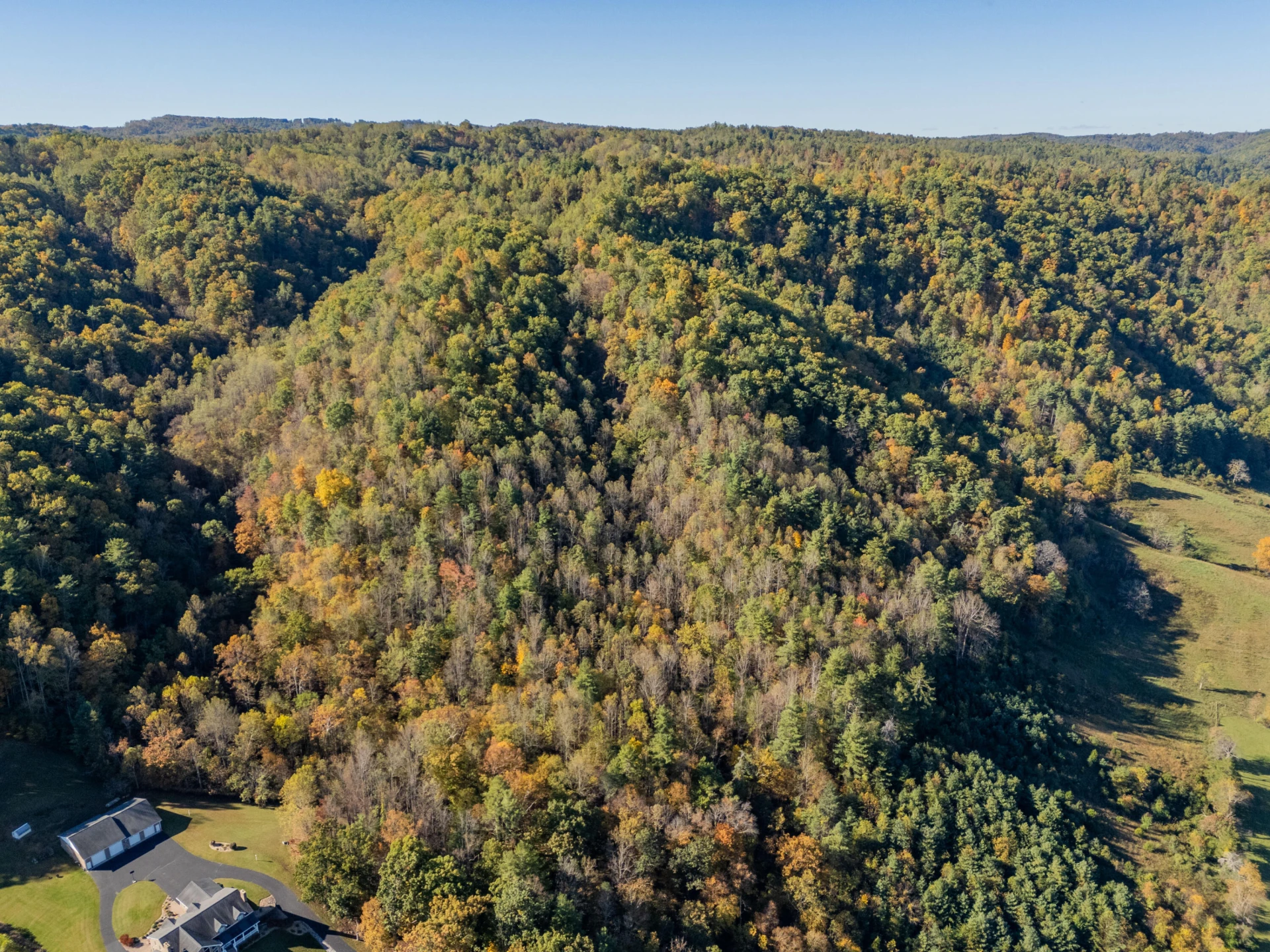 TBD Lick Ridge Road - Photo 29