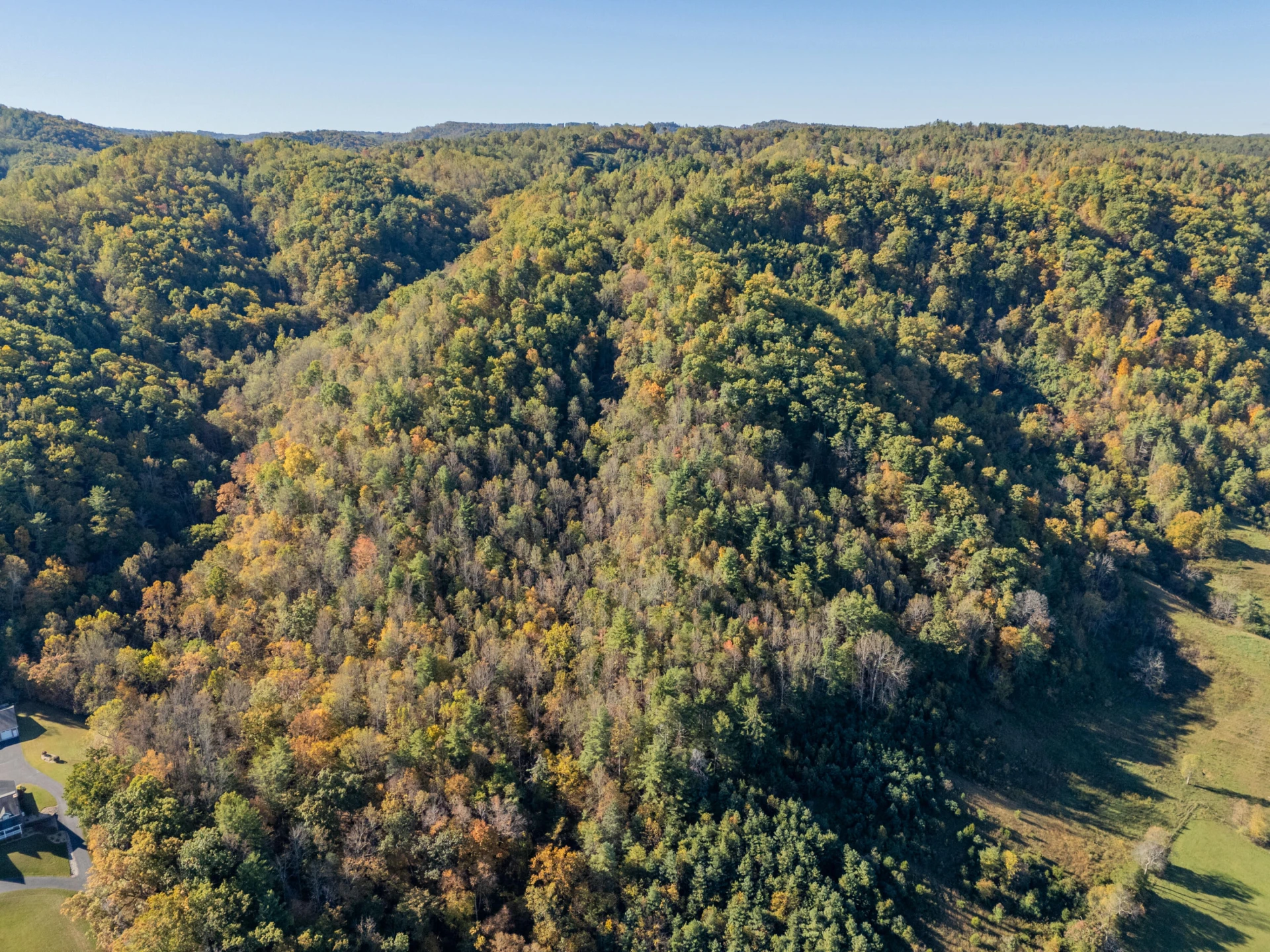 TBD Lick Ridge Road - Photo 30