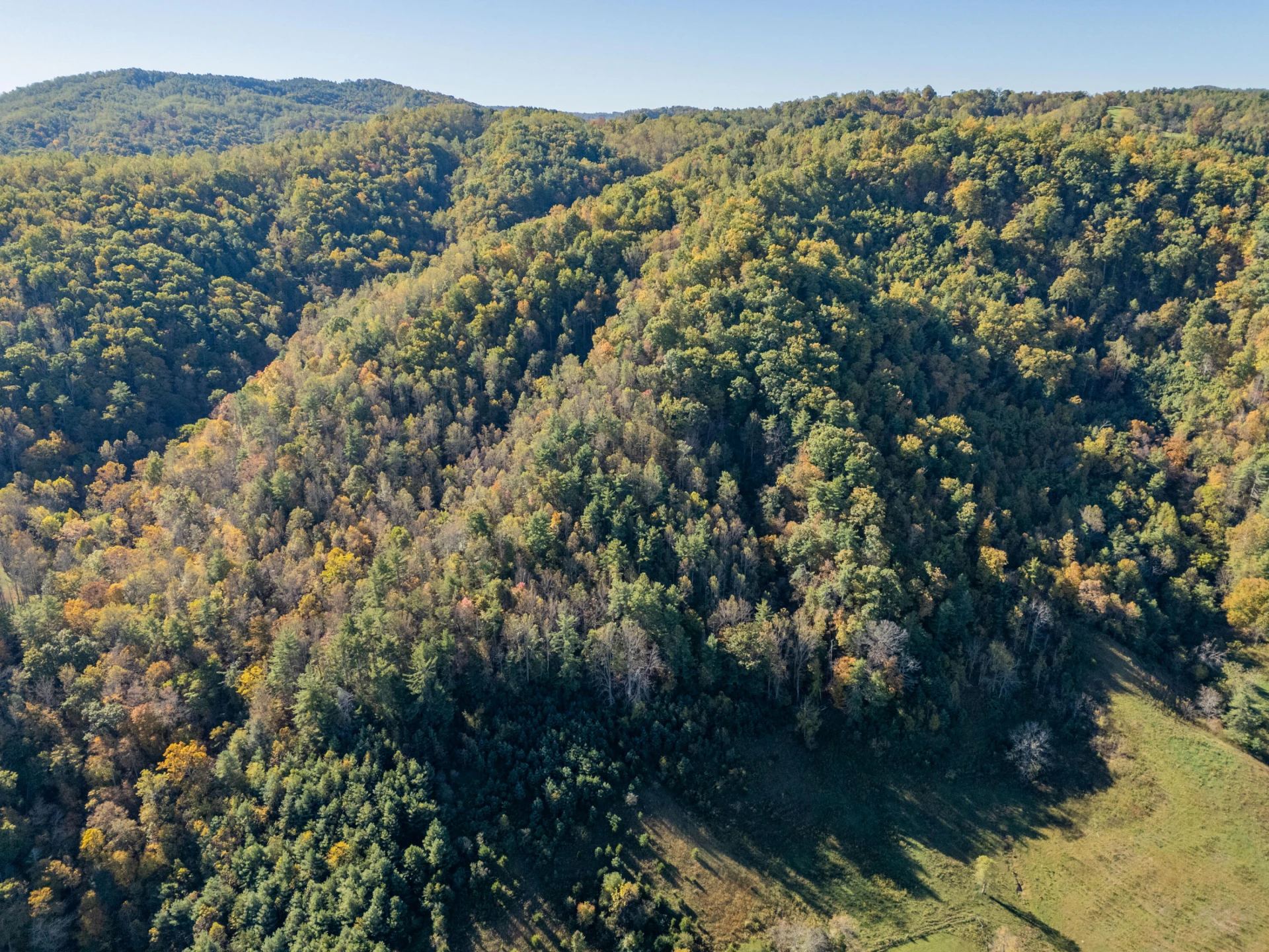 TBD Lick Ridge Road - Photo 31