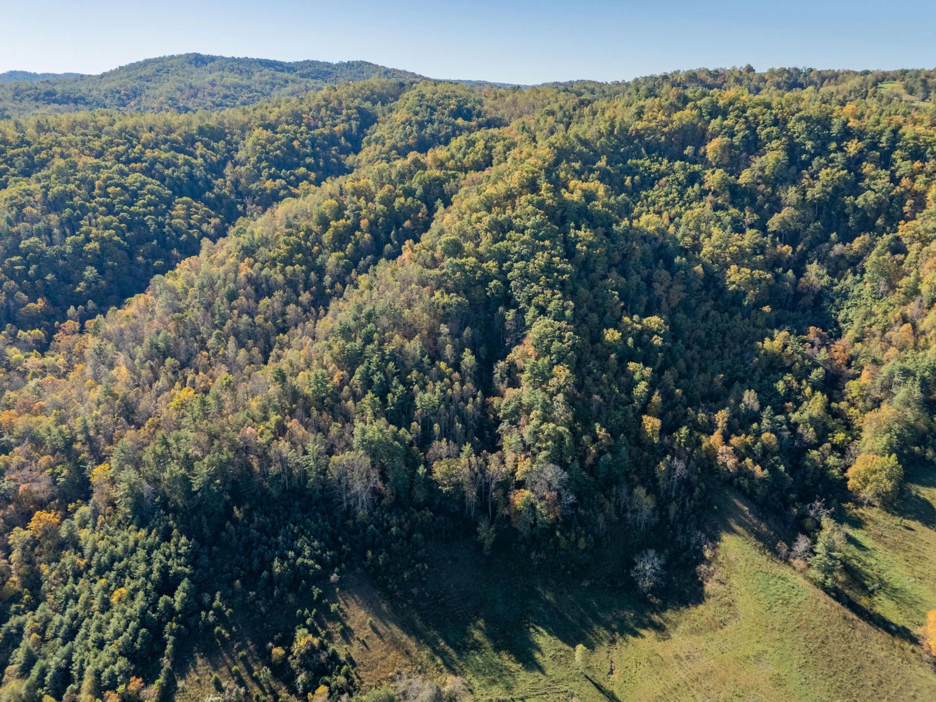 TBD Lick Ridge Road - Photo 32