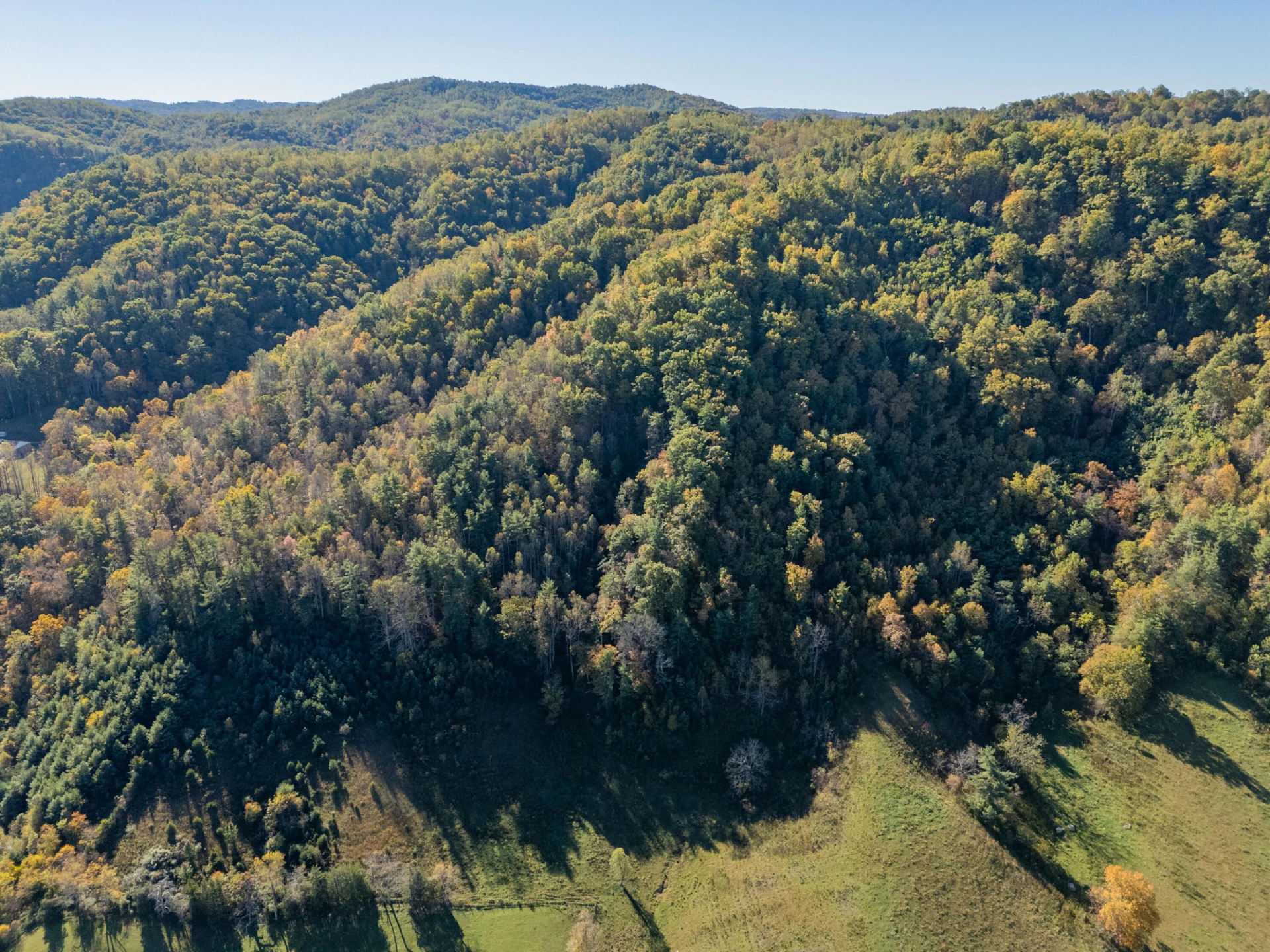 TBD Lick Ridge Road - Photo 33
