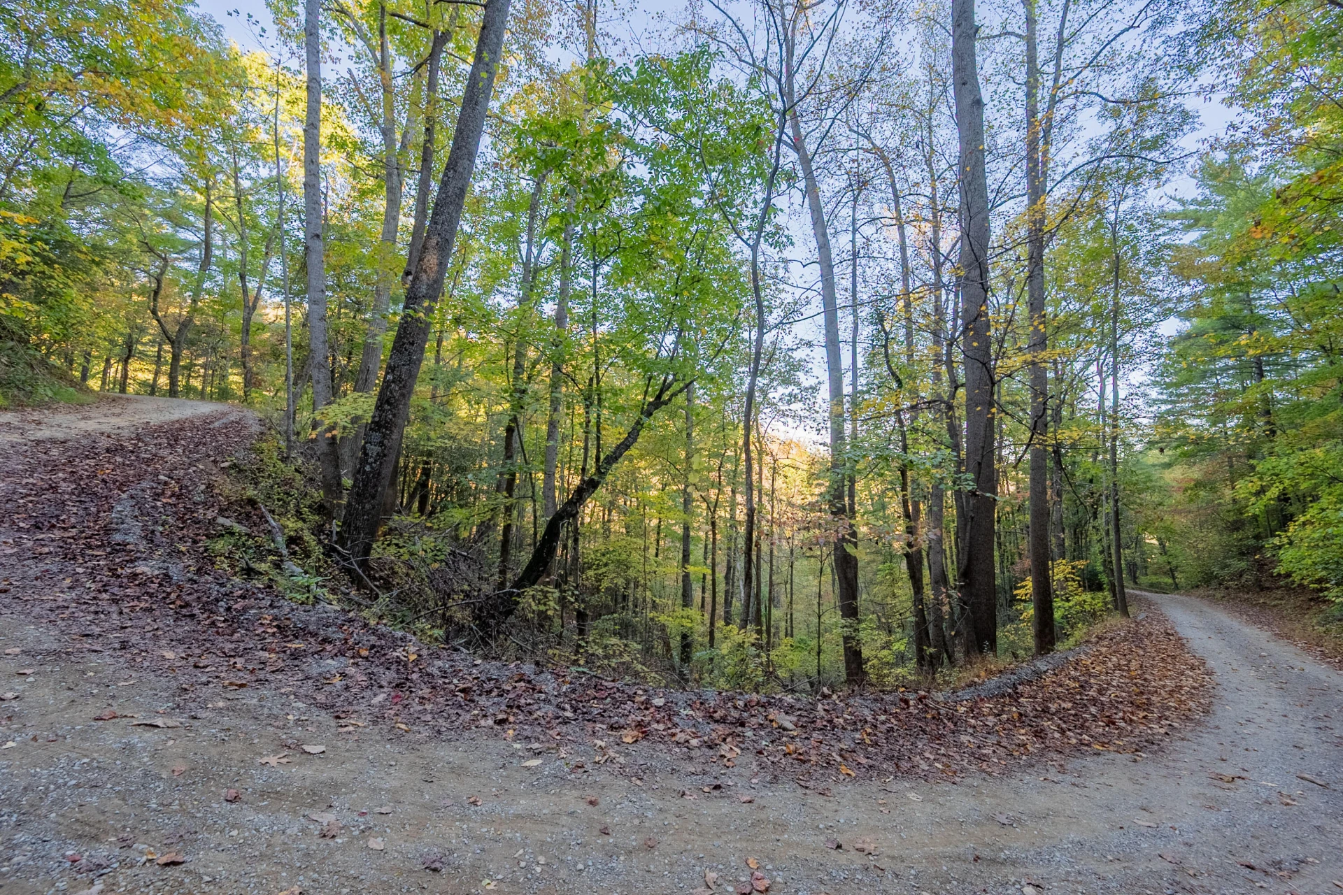 TBD Lick Ridge Road - Photo 37