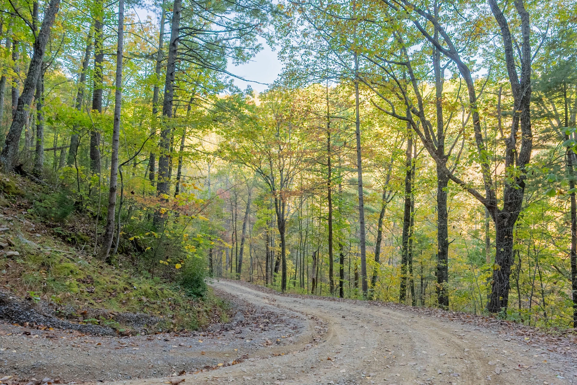 TBD Lick Ridge Road - Photo 39