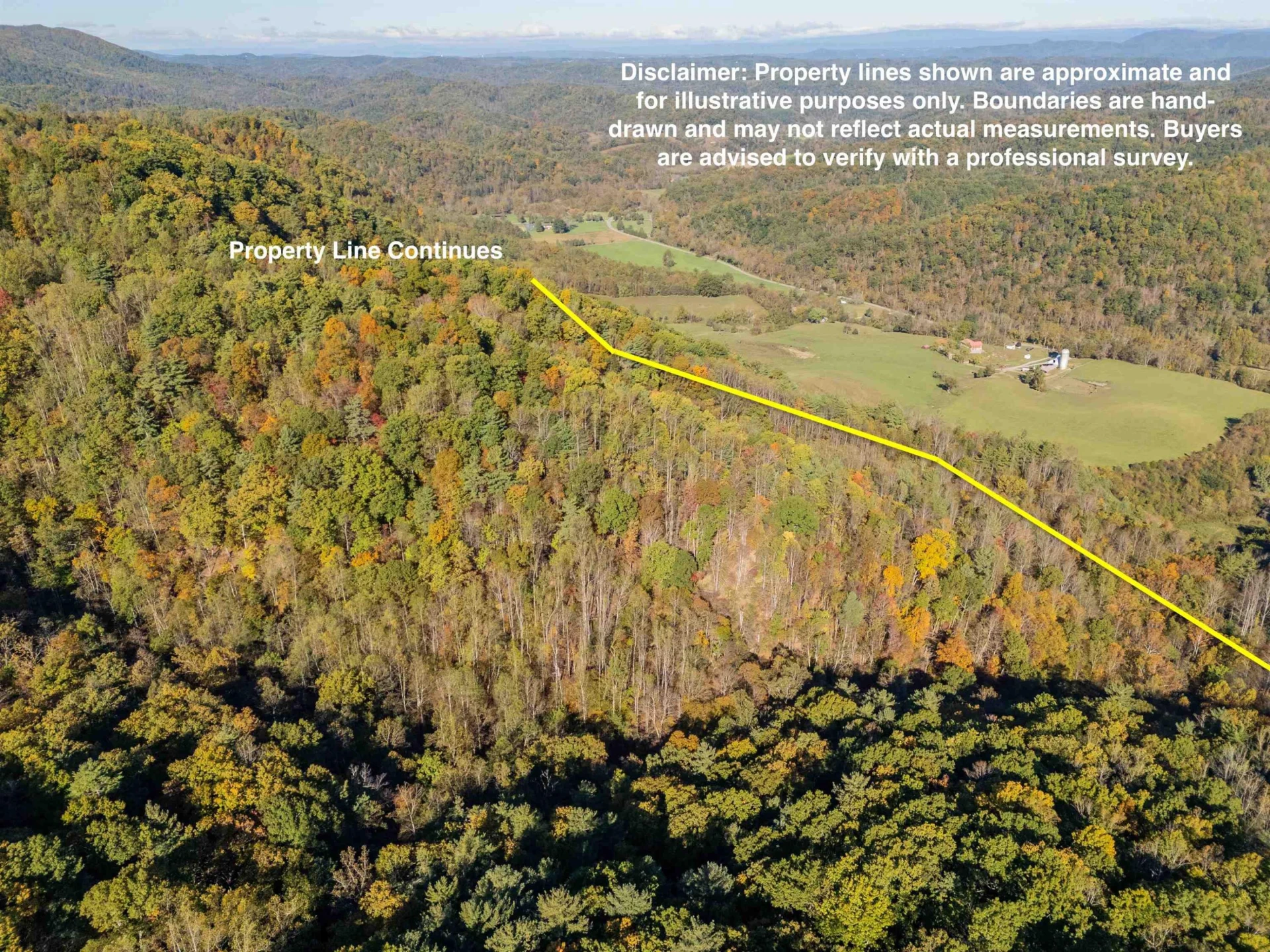 TBD Lick Ridge Road - Photo 4