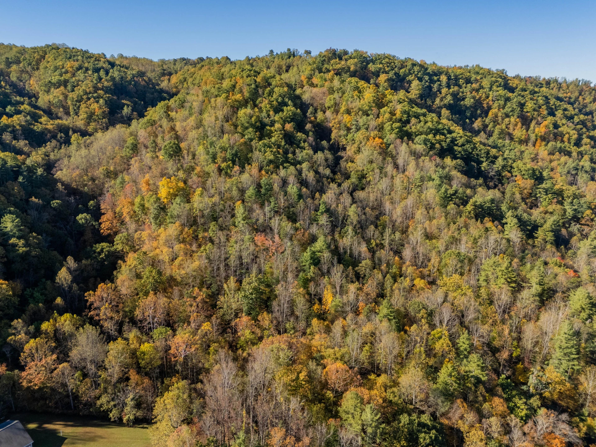 TBD Lick Ridge Road - Photo 6