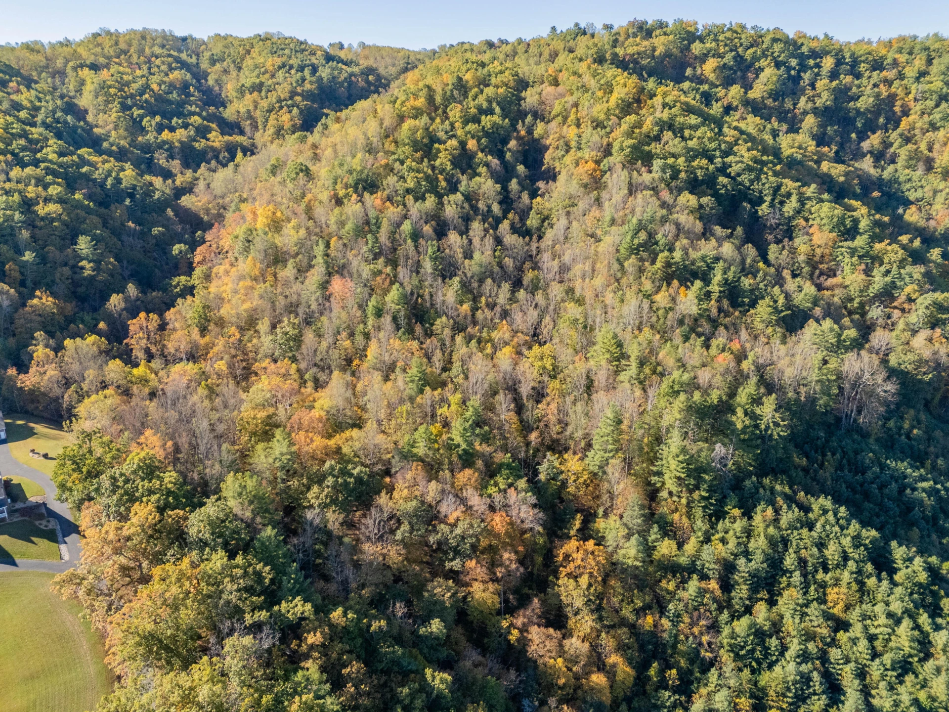 TBD Lick Ridge Road - Photo 7