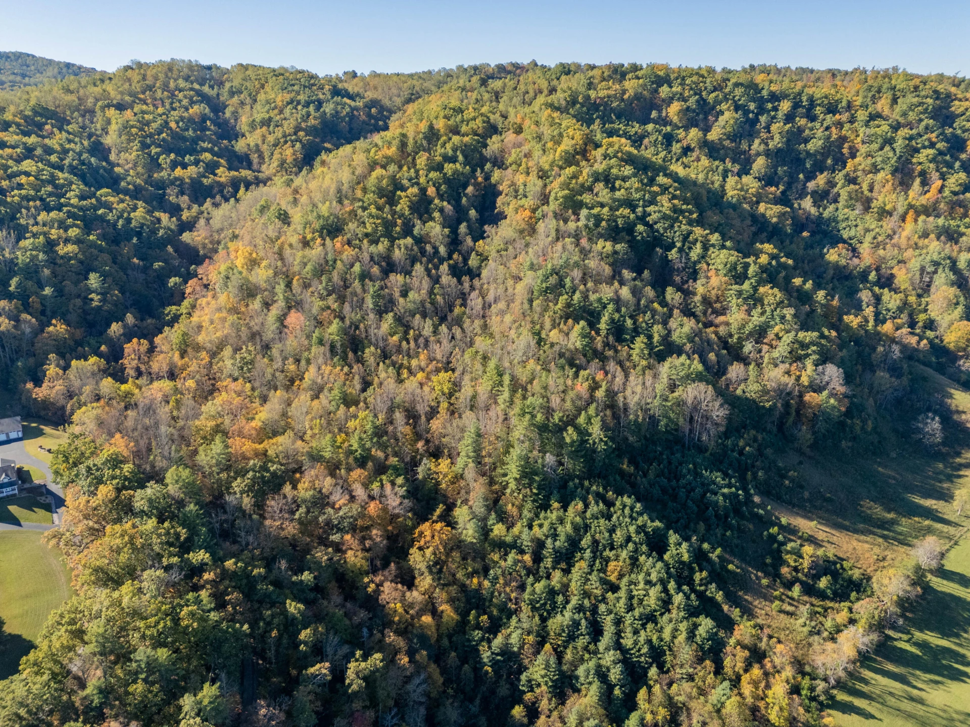 TBD Lick Ridge Road - Photo 8