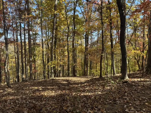 Lot2 Snidow DR, Goodview, VA, 24095