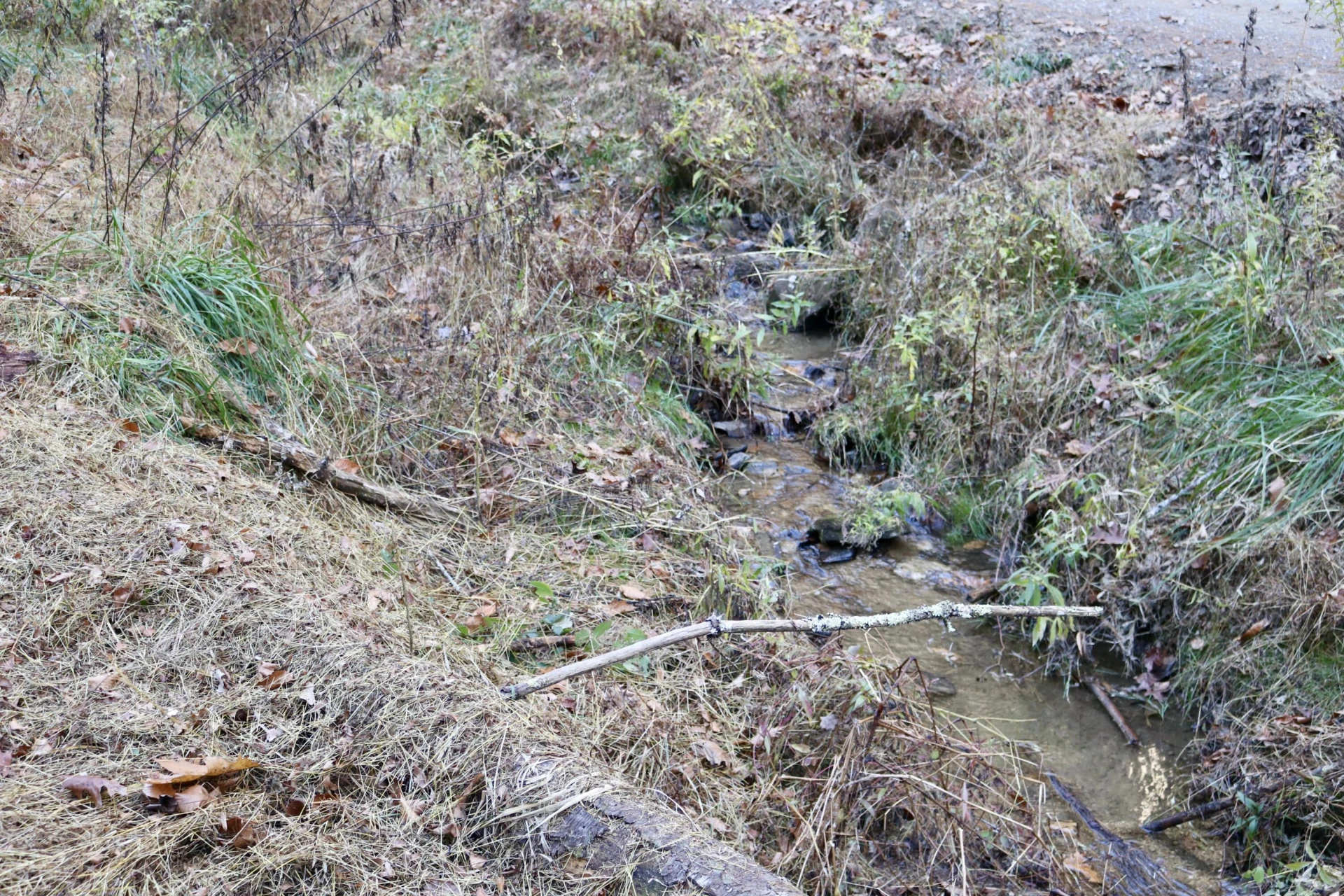 541 Goose Creek Run - Photo 13