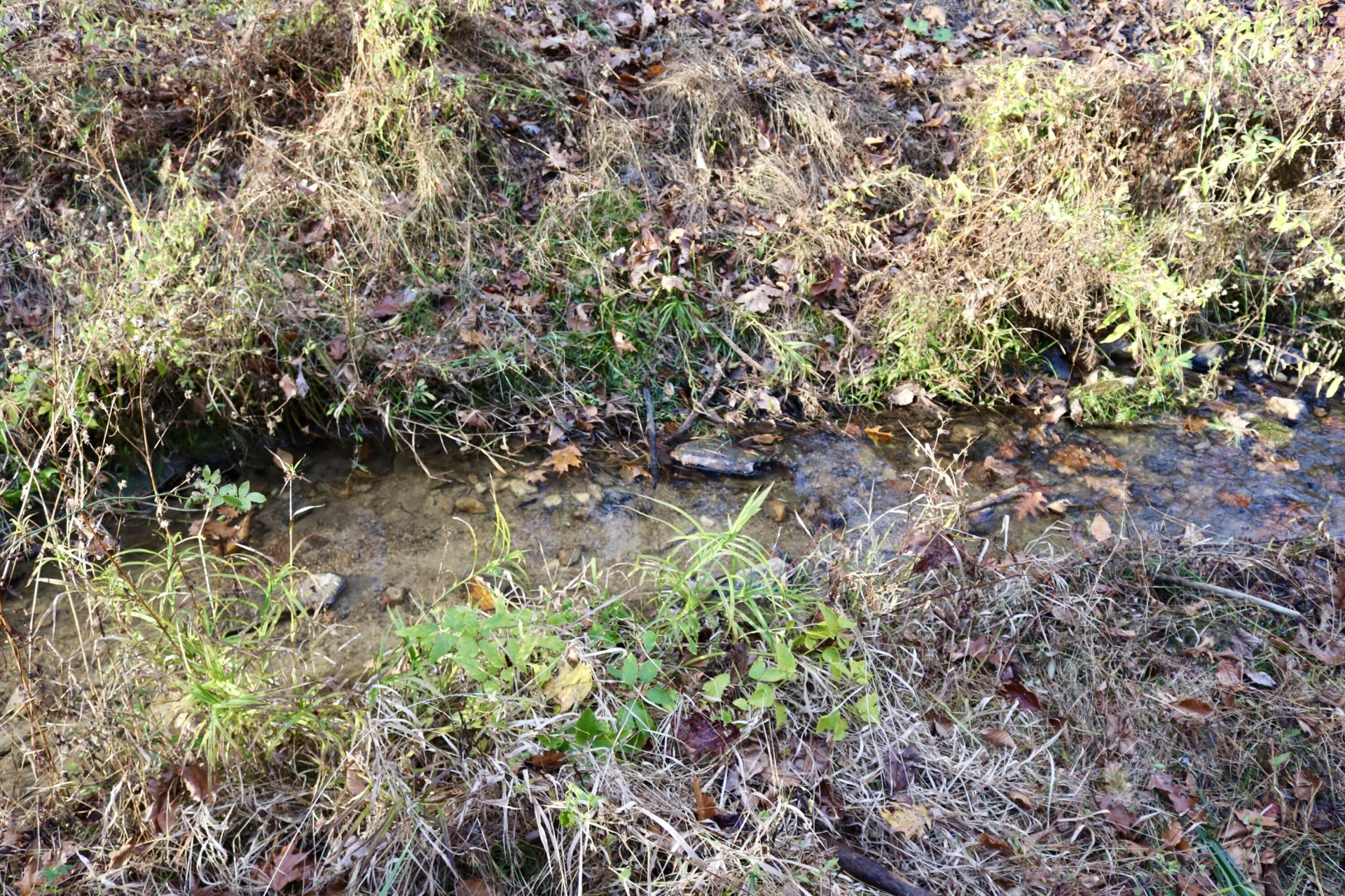 541 Goose Creek Run - Photo 14