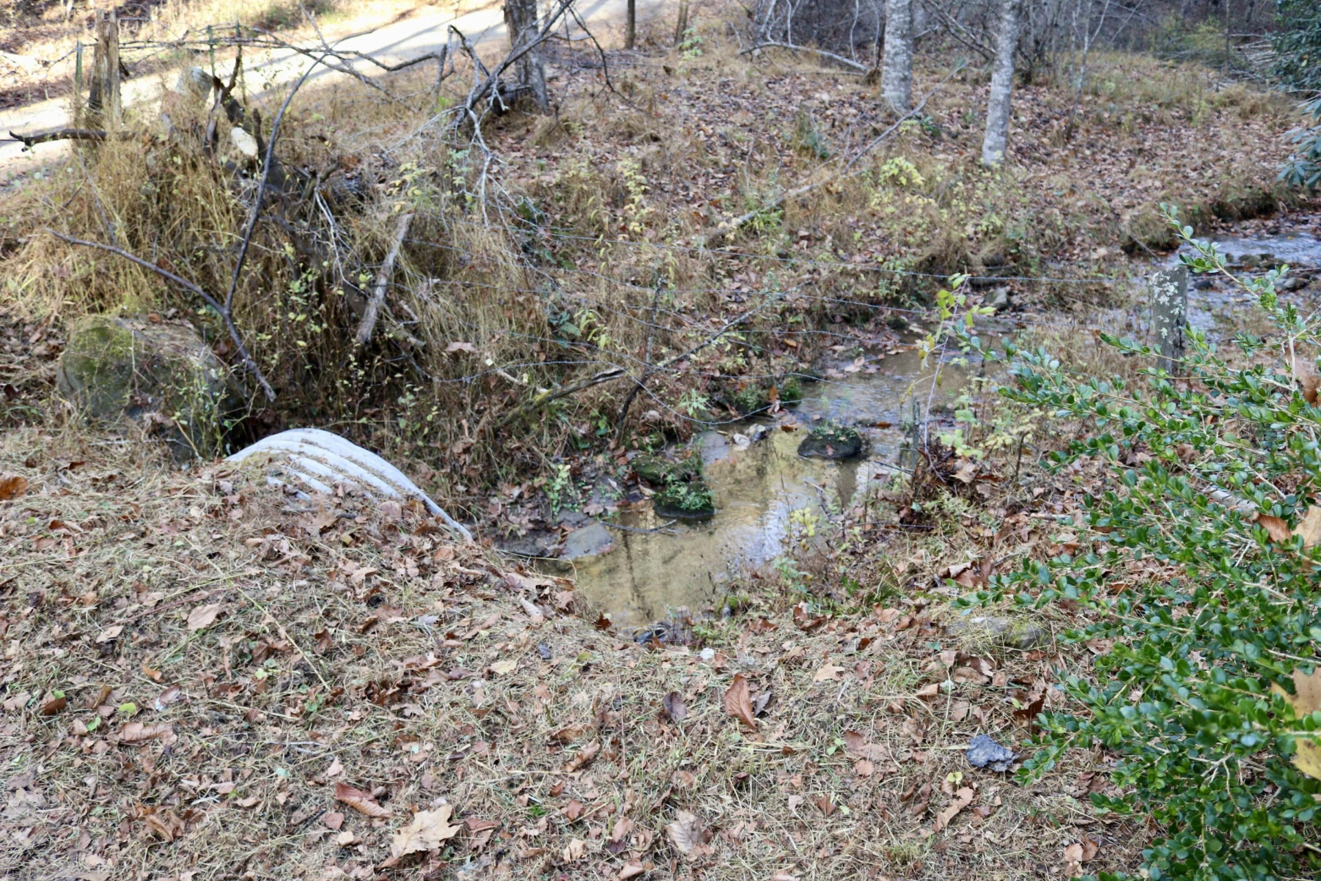 541 Goose Creek Run - Photo 15