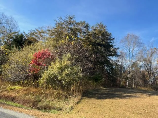 Lot 16 Walnut Run DR, Hardy, VA, 24101