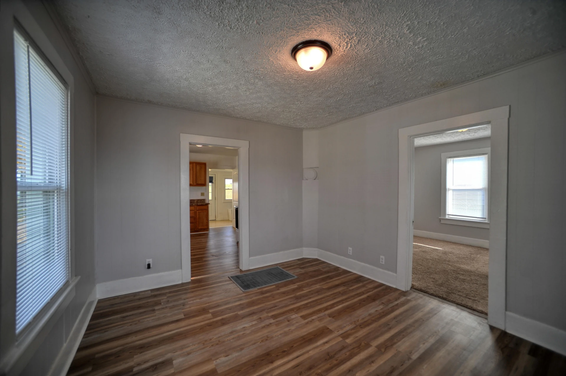 909 POCAHONTAS AVE - Photo 3