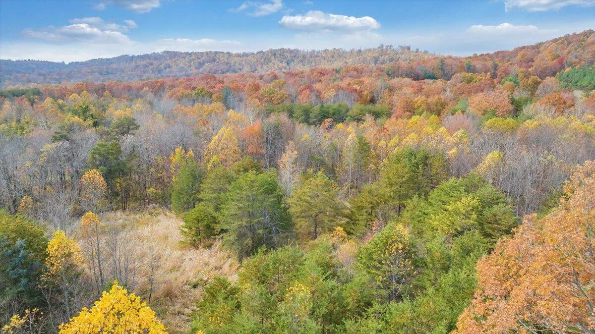 0 Briar Mountain RD