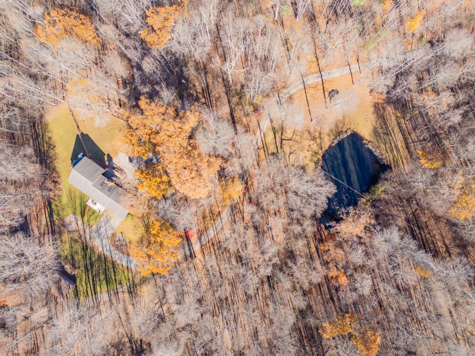 1126 Duncans Chapel RD - Photo 4