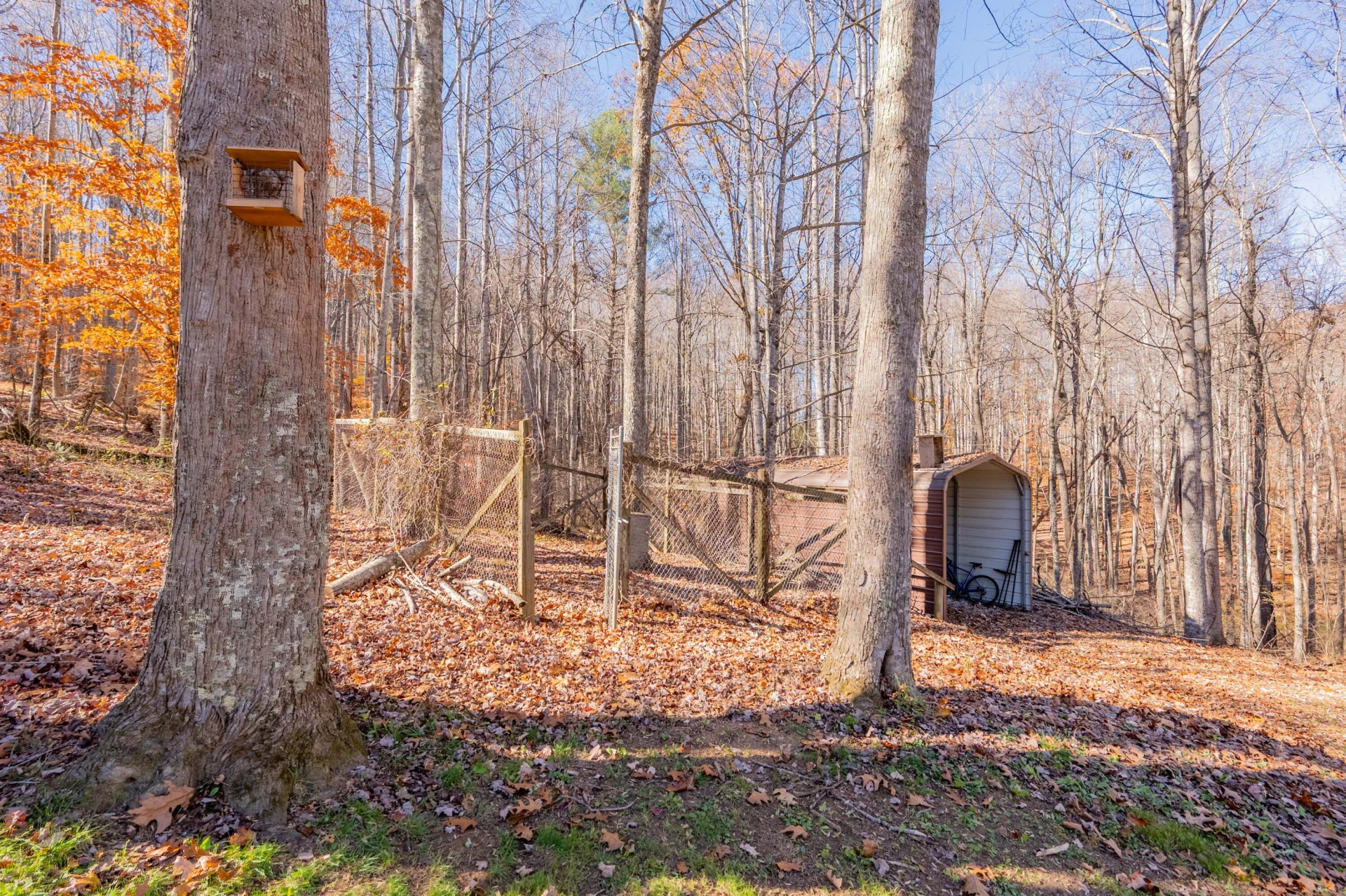 1126 Duncans Chapel RD - Photo 54