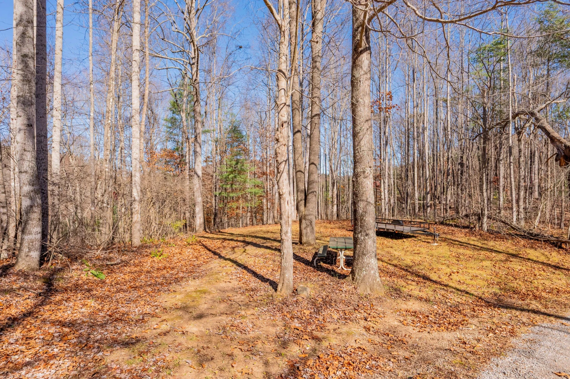 1126 Duncans Chapel RD - Photo 61