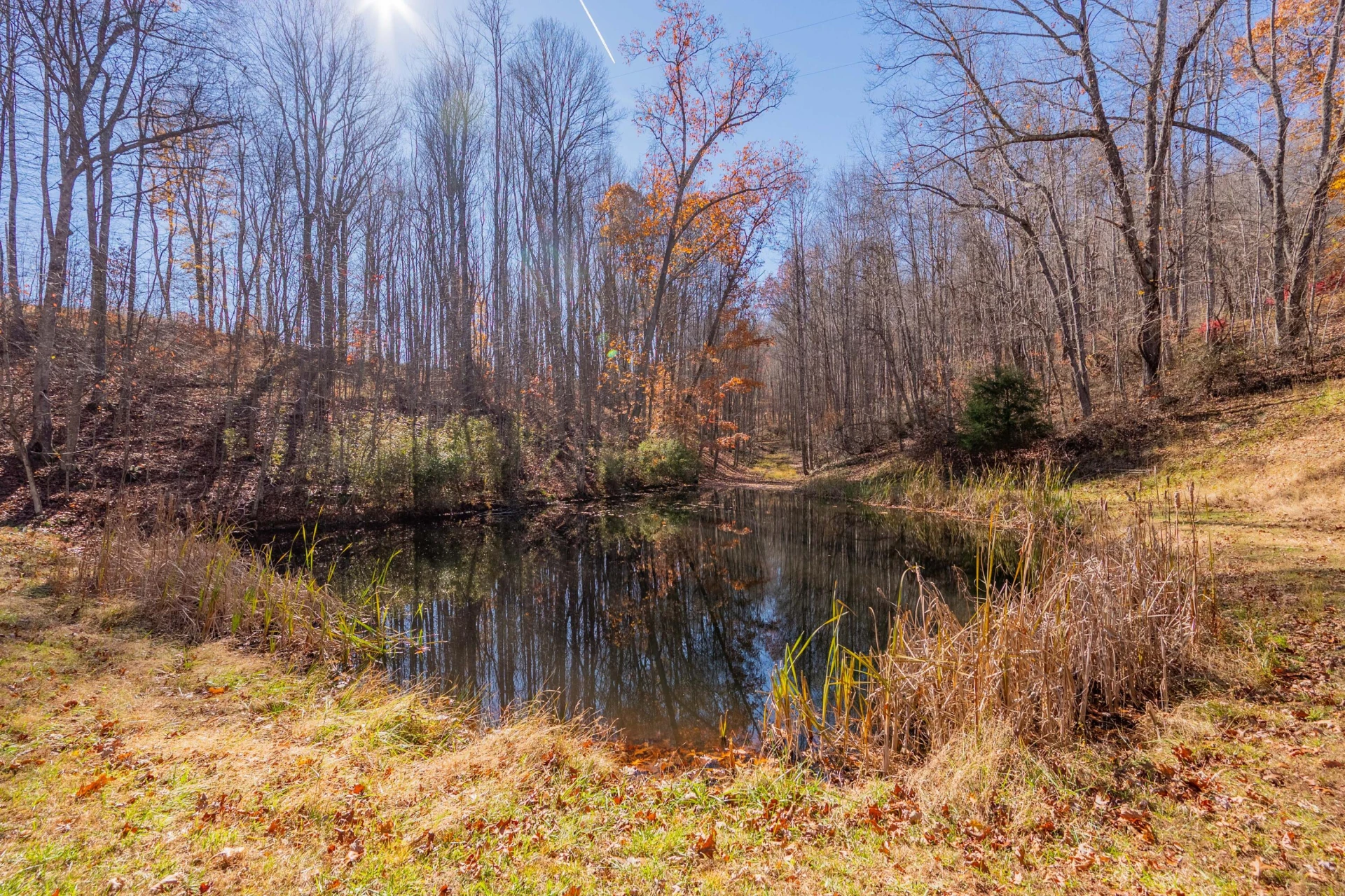 1126 Duncans Chapel RD - Photo 64