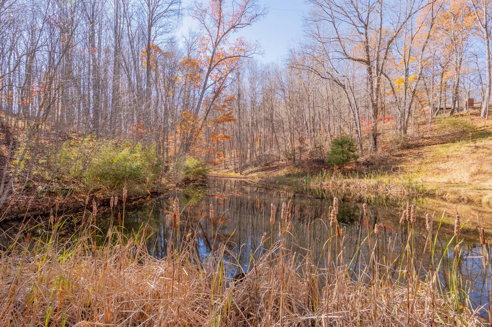 1126 Duncans Chapel RD - Photo 65