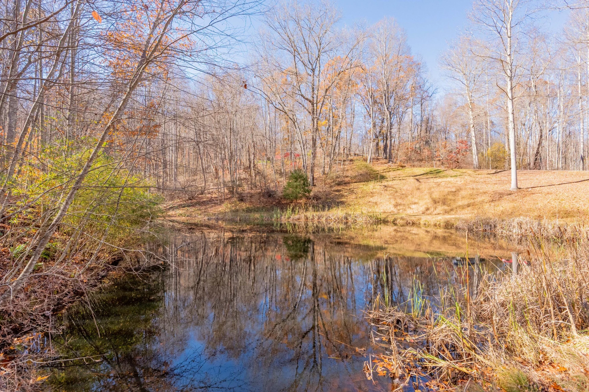 1126 Duncans Chapel RD - Photo 66