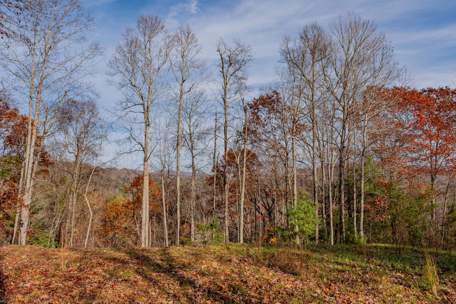 0 Tumbling Waters RD - Photo 11