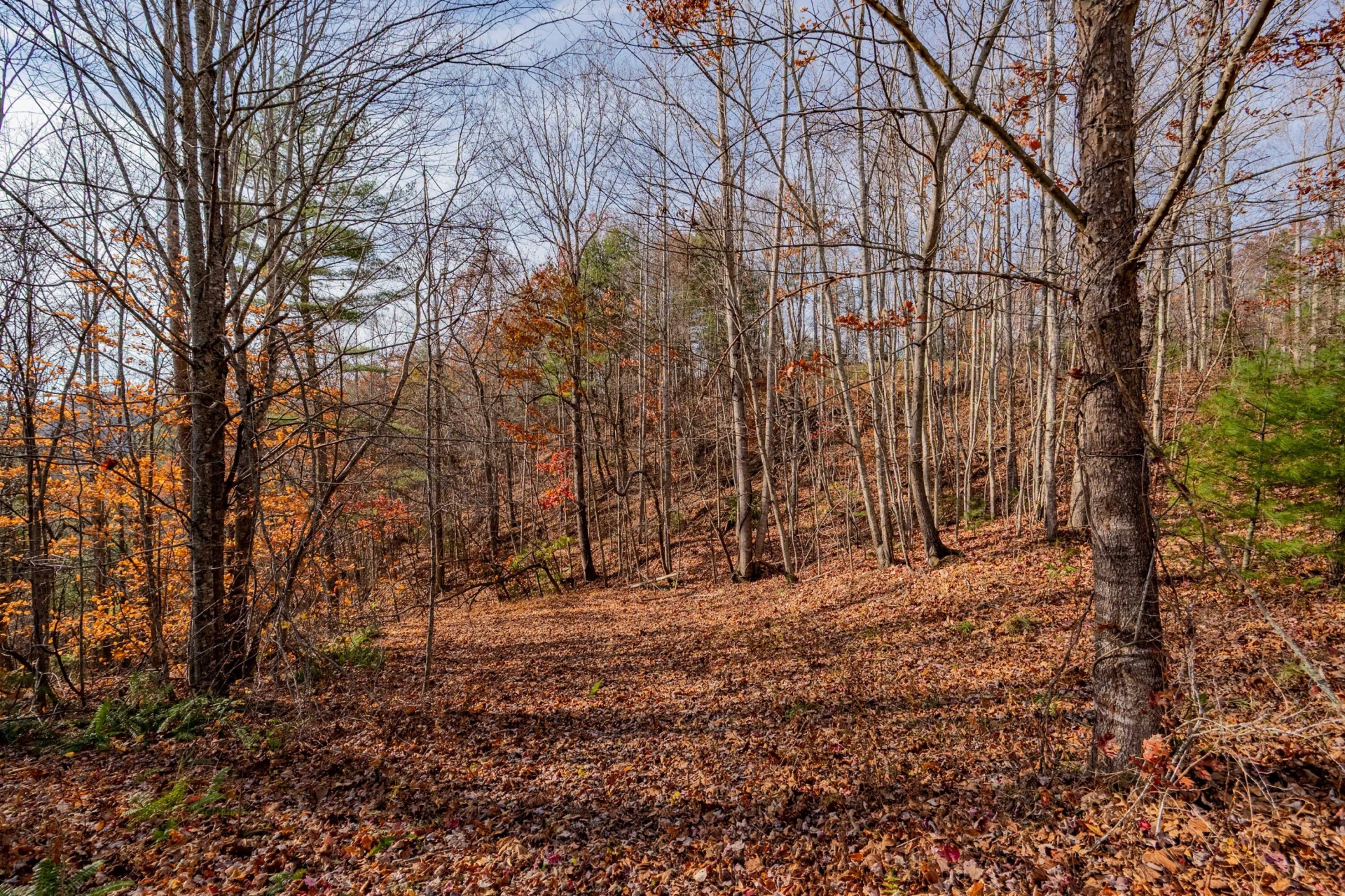 0 Tumbling Waters RD - Photo 14