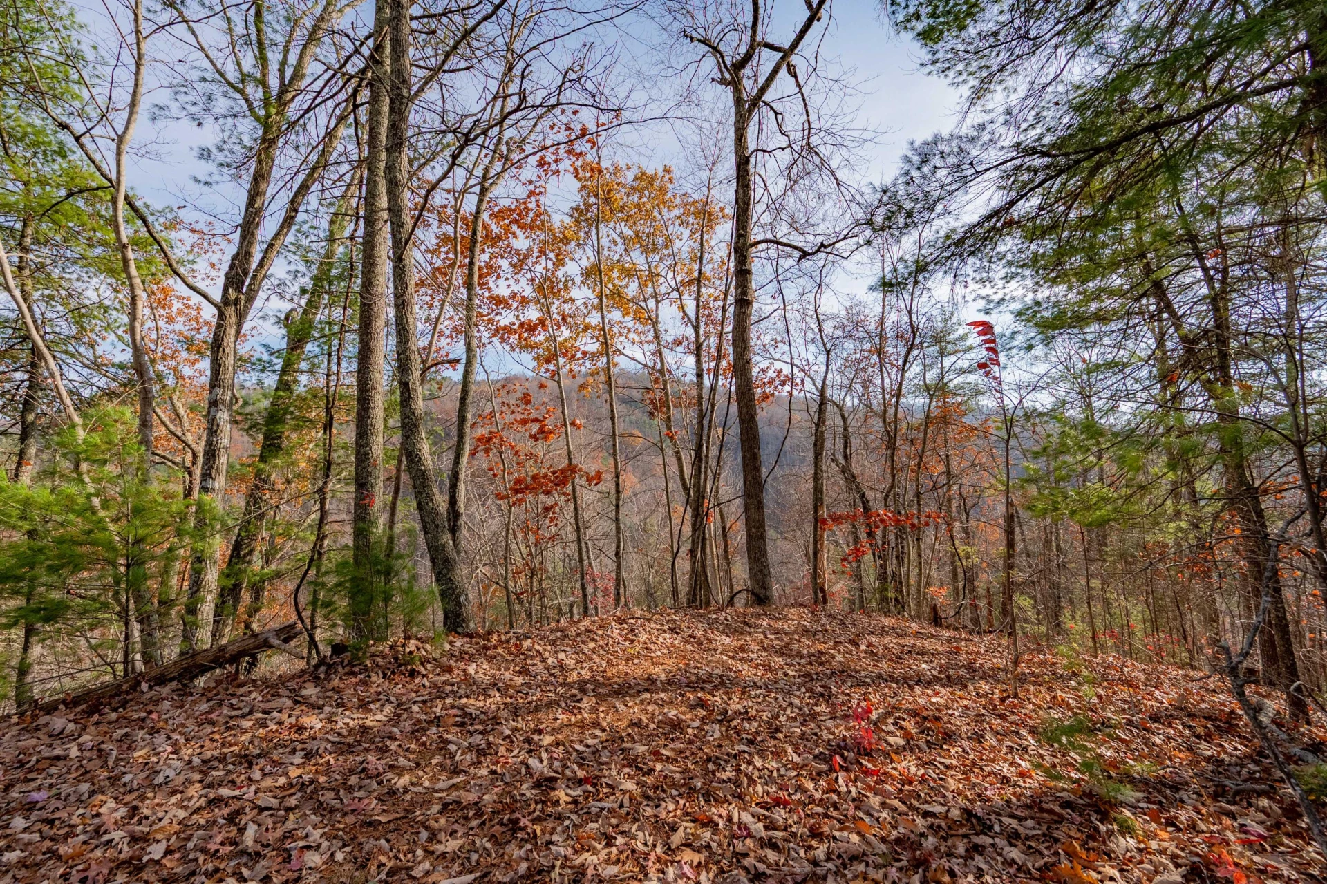 0 Tumbling Waters RD - Photo 18