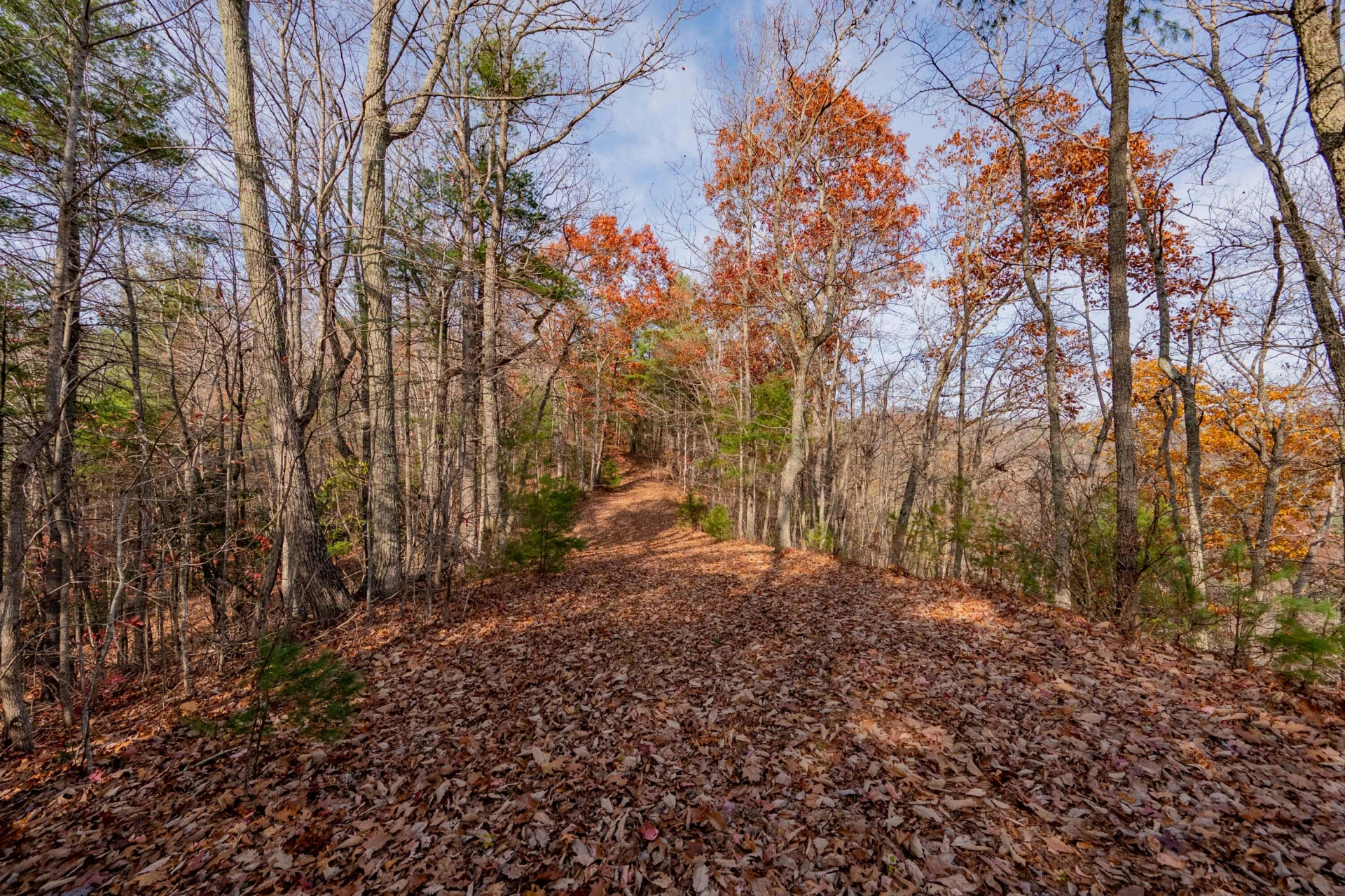 0 Tumbling Waters RD - Photo 19