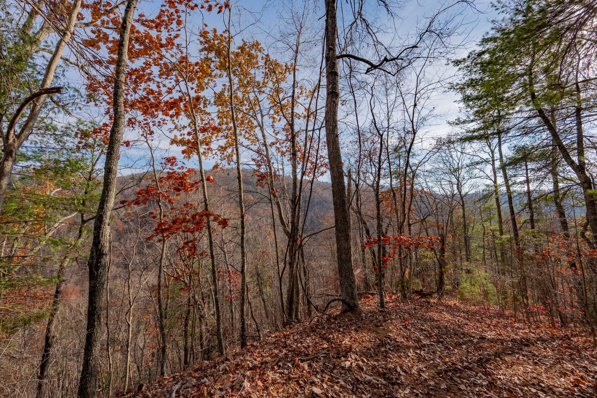 0 Tumbling Waters RD - Photo 20