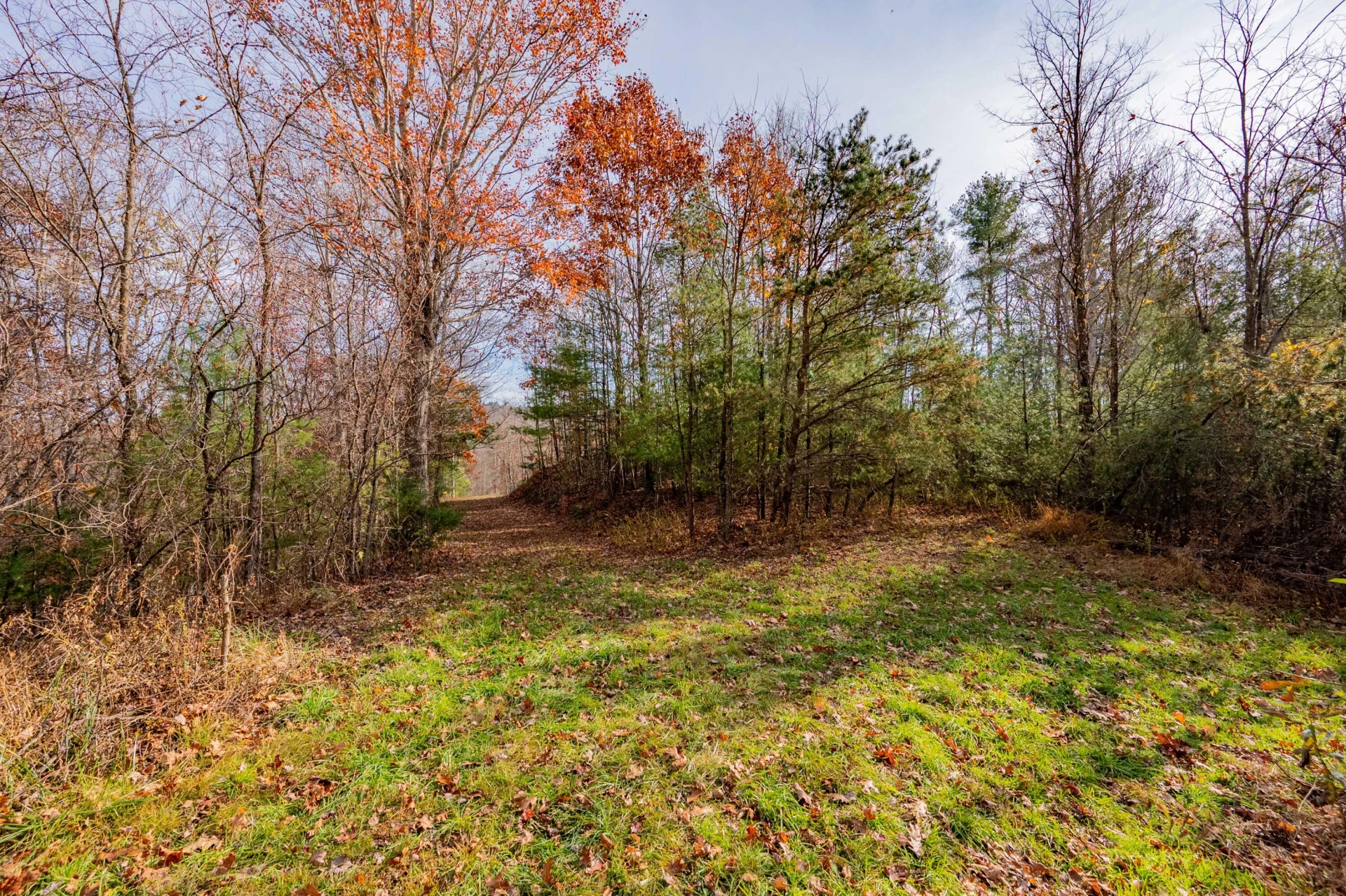 0 Tumbling Waters RD - Photo 4