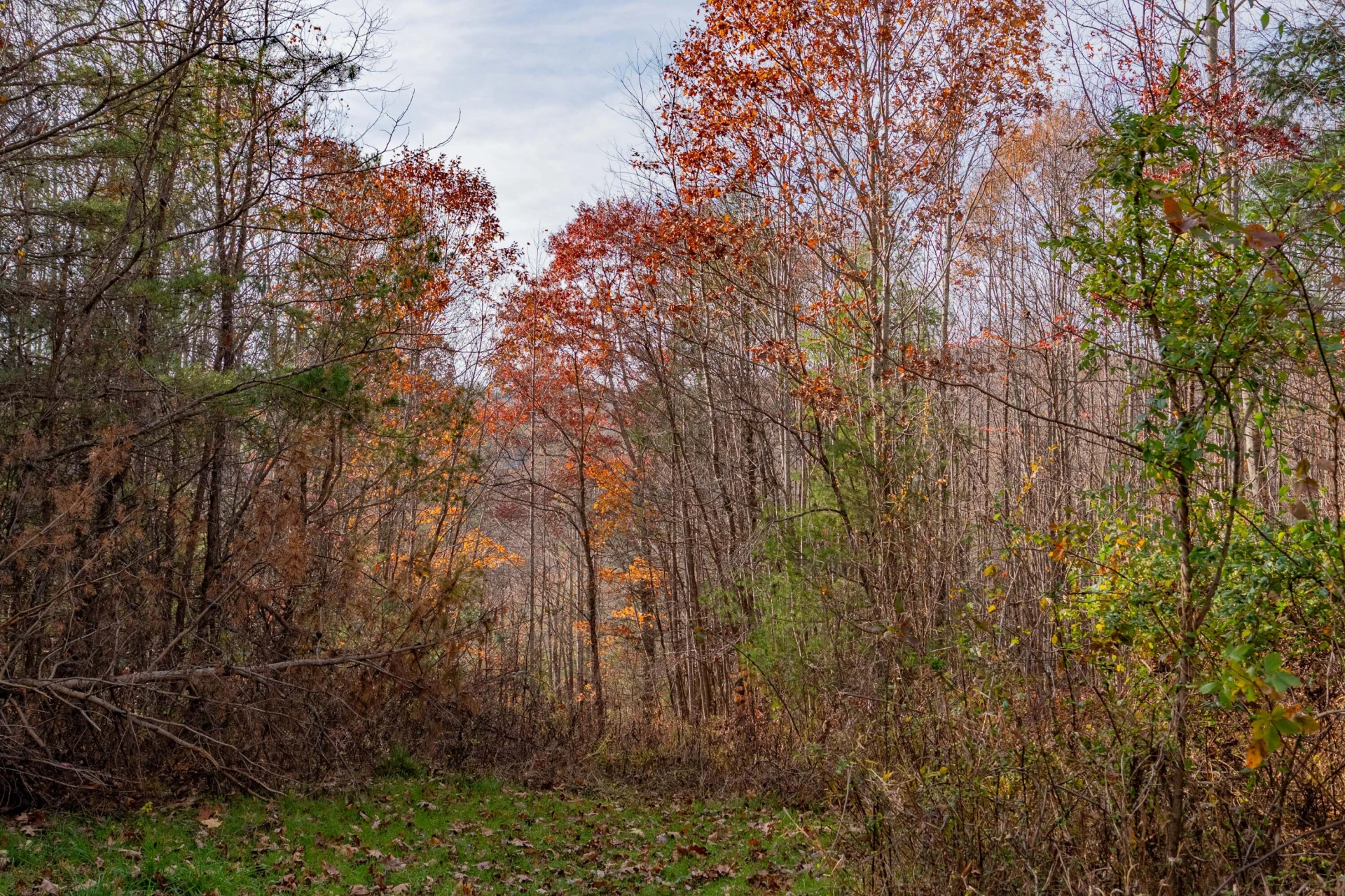 0 Tumbling Waters RD - Photo 5