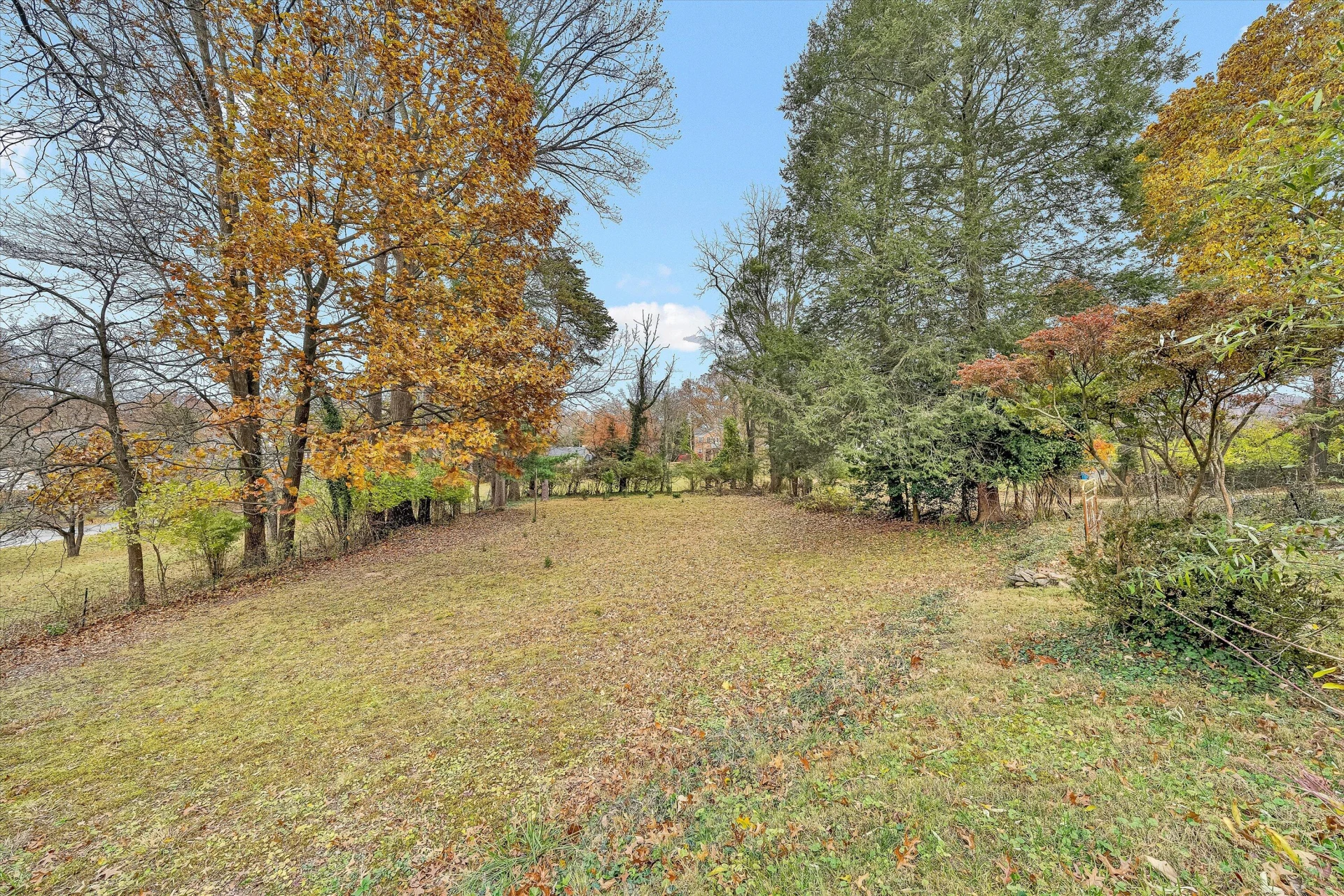 1039 Clearfield RD - Photo 42