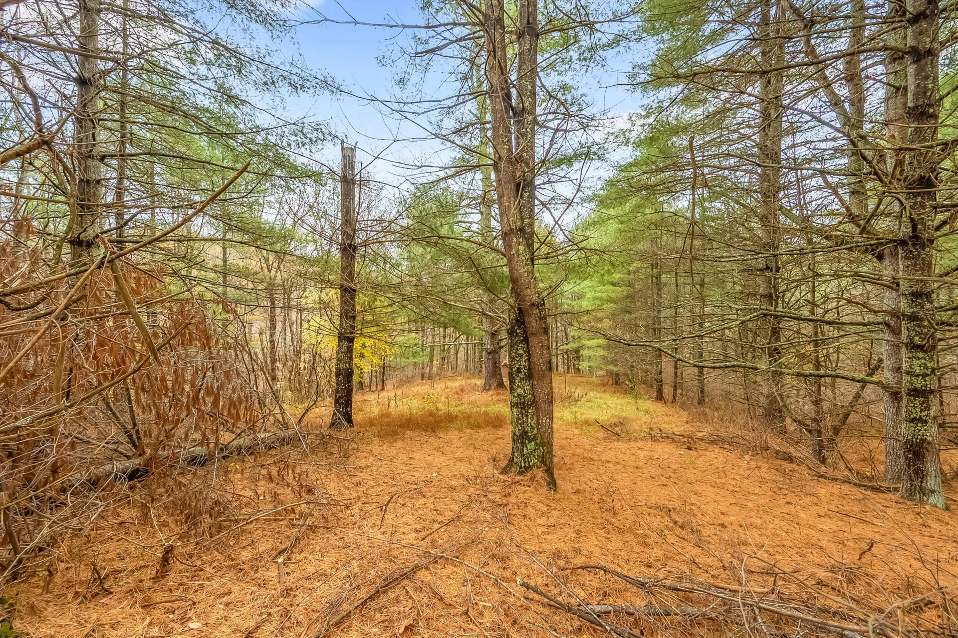 528 Falling Branch RD - Photo 58